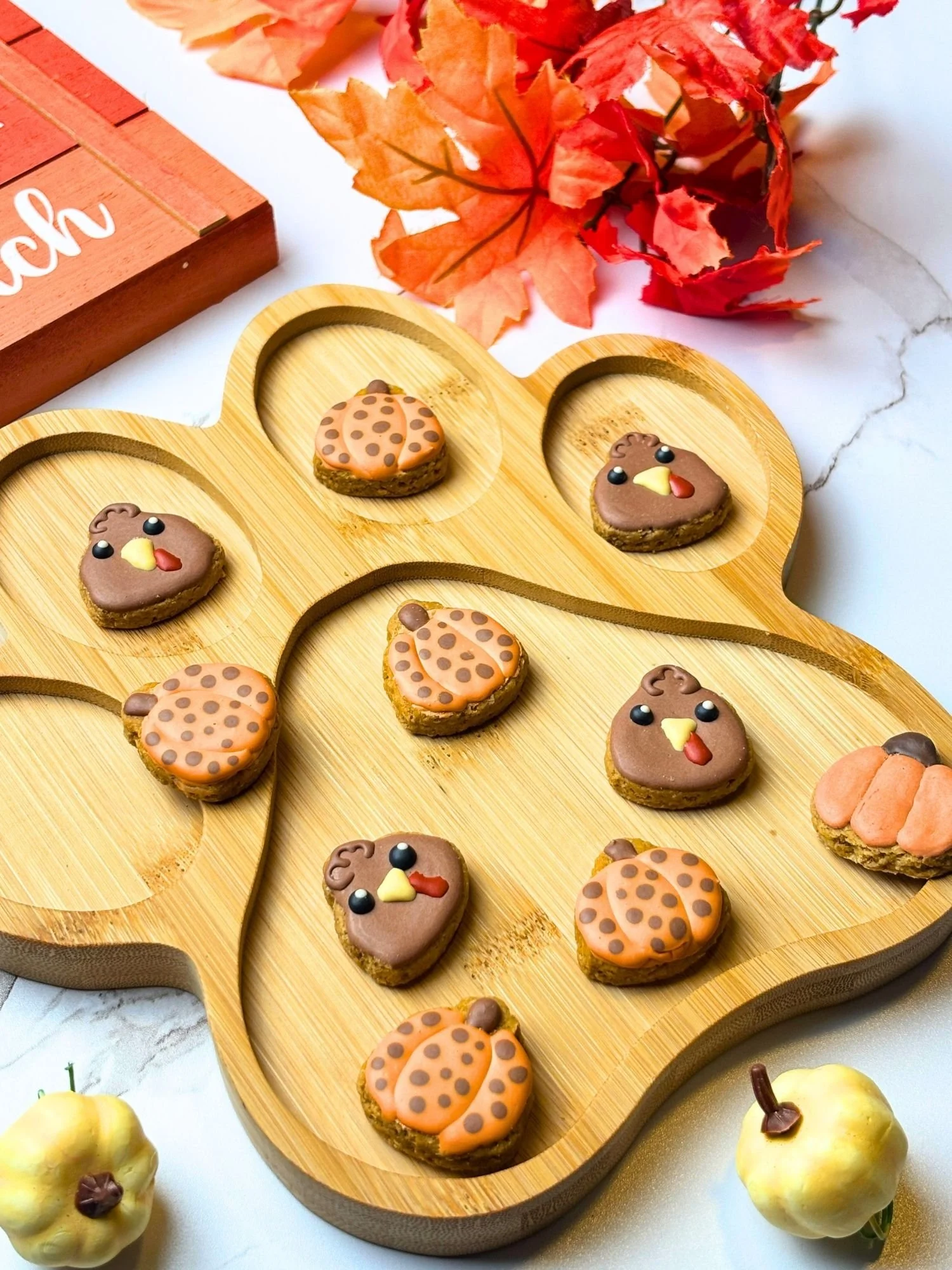 Turkey & Pumpkin Mini Dog Cookies