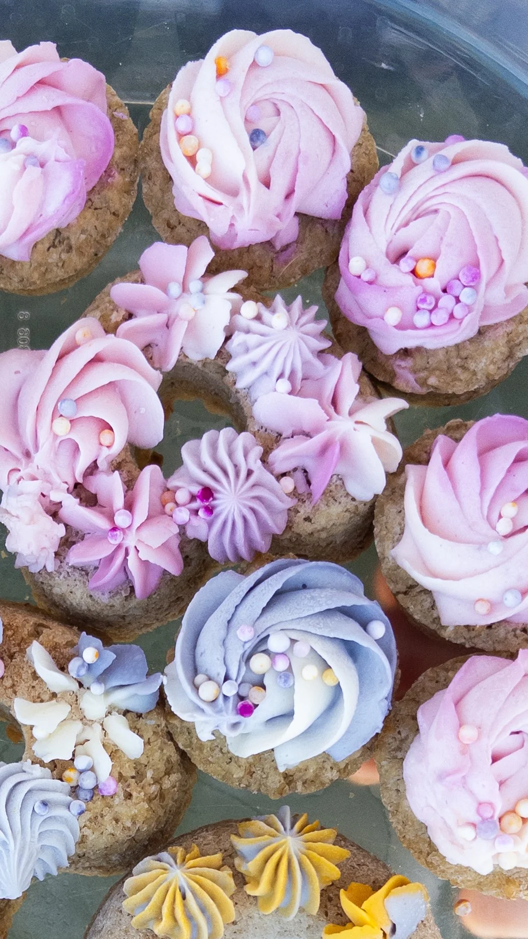 Mini Pupcake Paradise