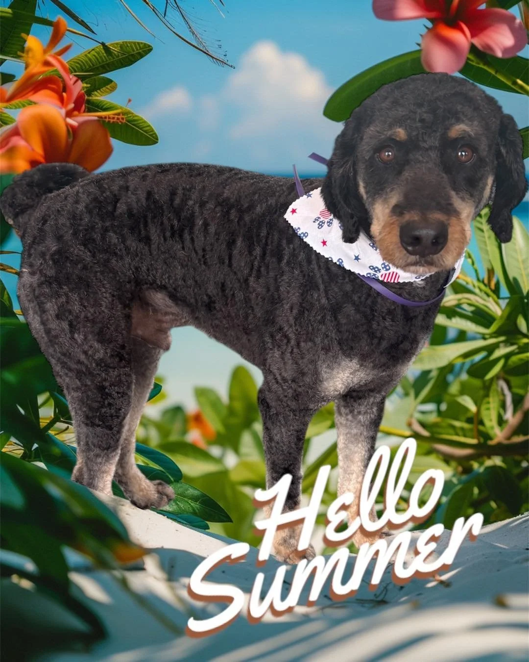 🌺Thursday was for Summer cuts at the home salon ☀️🌊