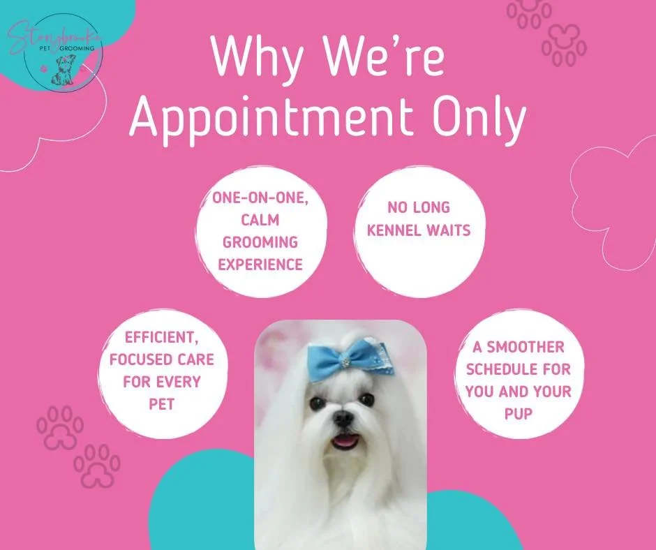 Did you know we&rsquo;re fully appointment-based now? 🐾✂️

Here&rsquo;s why:

&bull; One-on-one, calm grooming experience

&bull; No long kennel waits

&bull; Efficient, focused care for every pet

&bull; A smoother schedule for you and your pup

Wh