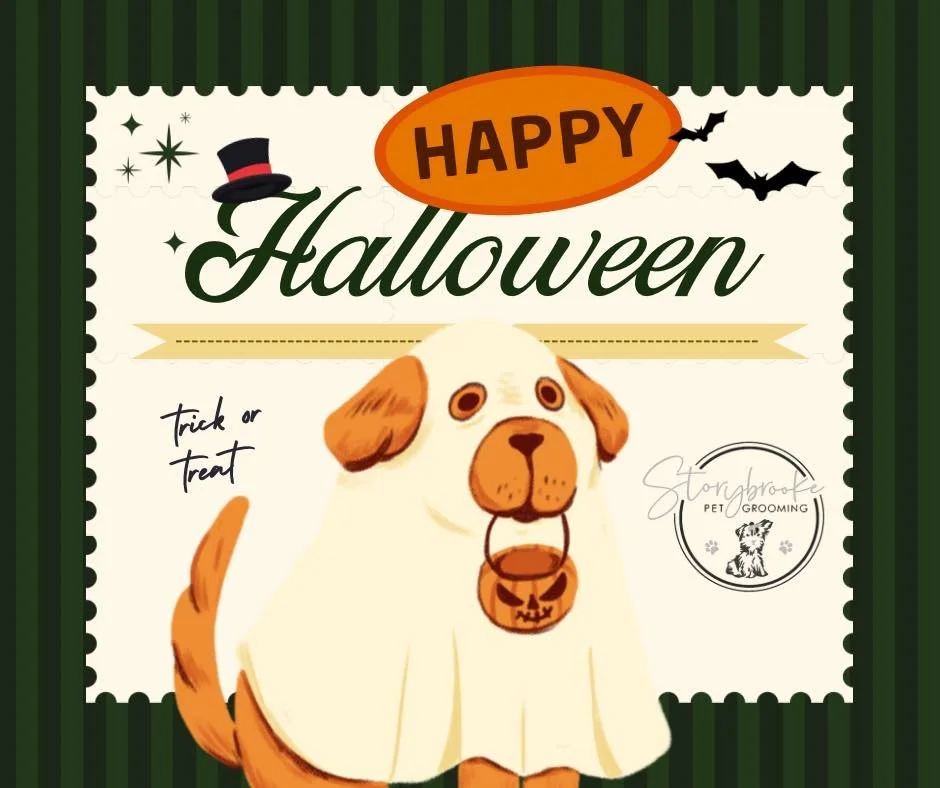 🎃 Happy Halloween from all of us at Storybrooke Pet Grooming!

We&rsquo;d love to see your dog&rsquo;s costume whether they&rsquo;re spooky, silly, or just here for the treats.

👻 Drop a photo in the comments and share the Halloween cuteness!

📍 L