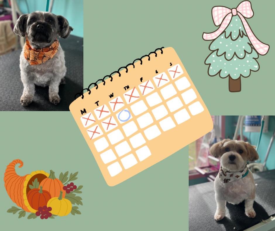 🎄 It might feel early&hellip; but our holiday appointments are already filling fast!

If you want your pup looking clean, fluffy, and photo-ready for Thanksgiving or Christmas, now is the time to book.

We&rsquo;re typically booked out 2&ndash;3 wee