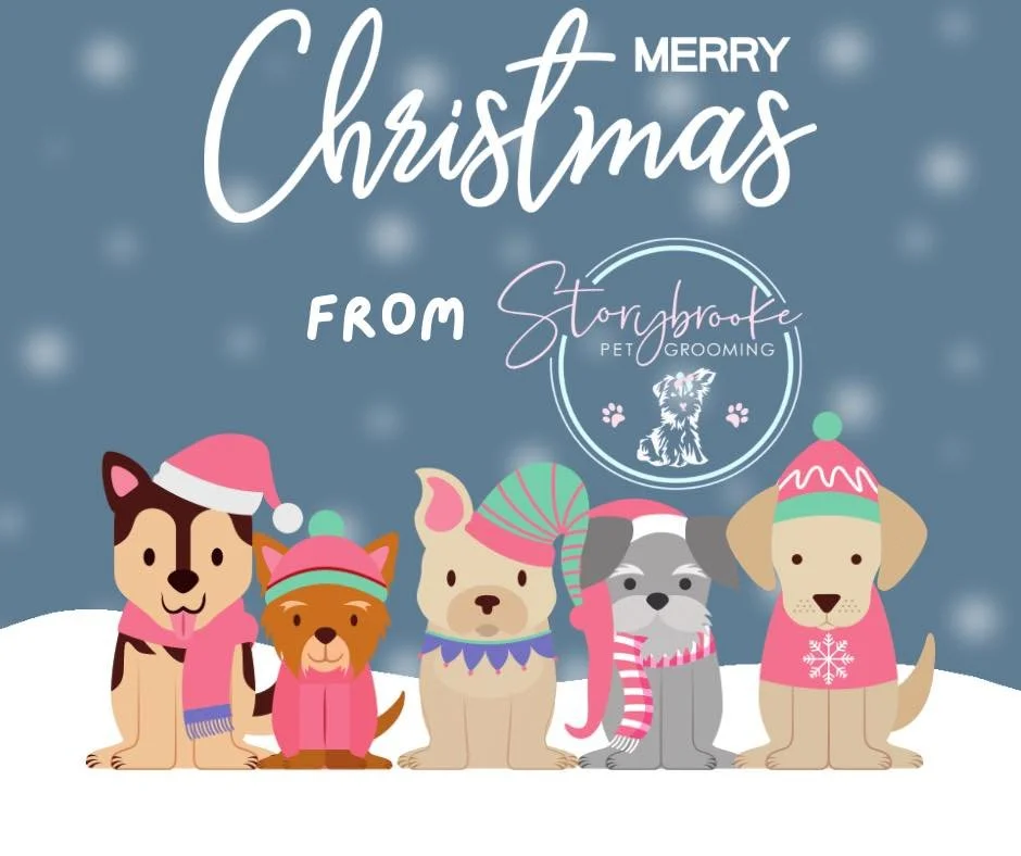 🎄 Wishing you a merry, cozy, joy-filled Christmas from all of us at Storybrooke Pet Grooming!

Thank you for letting us care for your beloved pets this year&mdash;it&rsquo;s an honor to be part of their story.

Just a reminder: We&rsquo;ll be closed