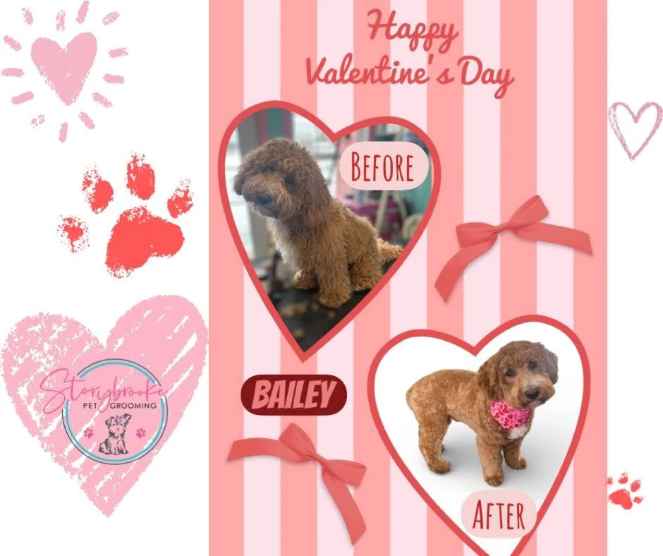 Happy Valentine&rsquo;s Day! 💕❤️💘