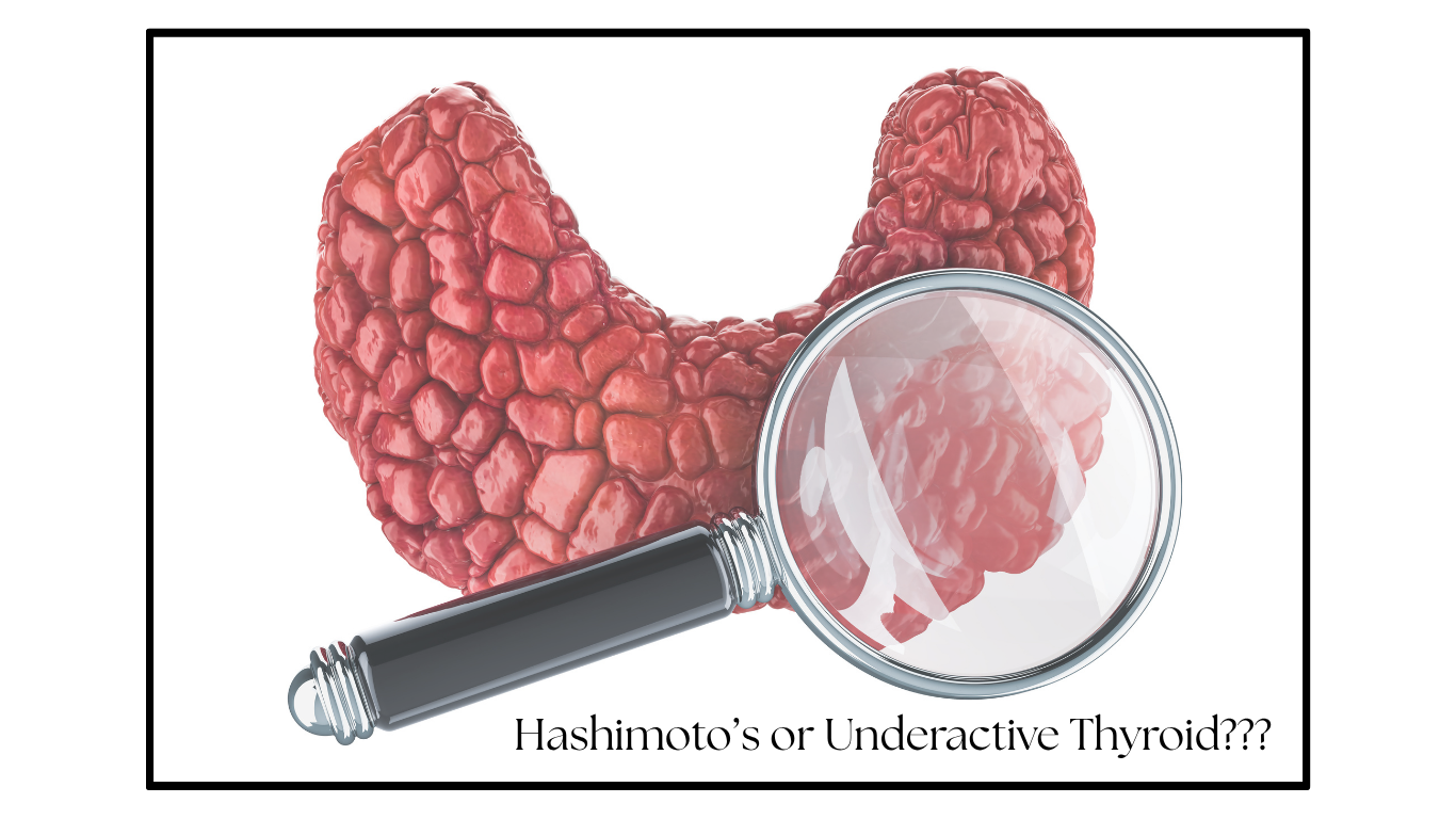 Hashimoto's Is Not Simply an Underactive Thyroid