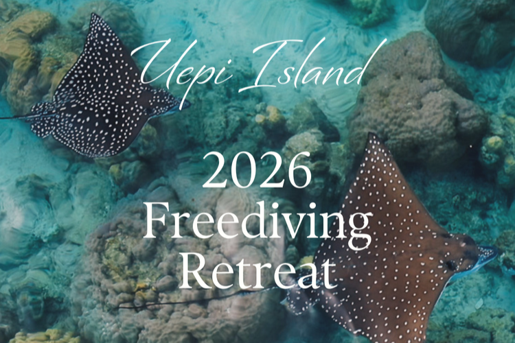 Freediving at Uepi –&nbsp;5 things you’ll love about        our 2026 Freediving Retreat
