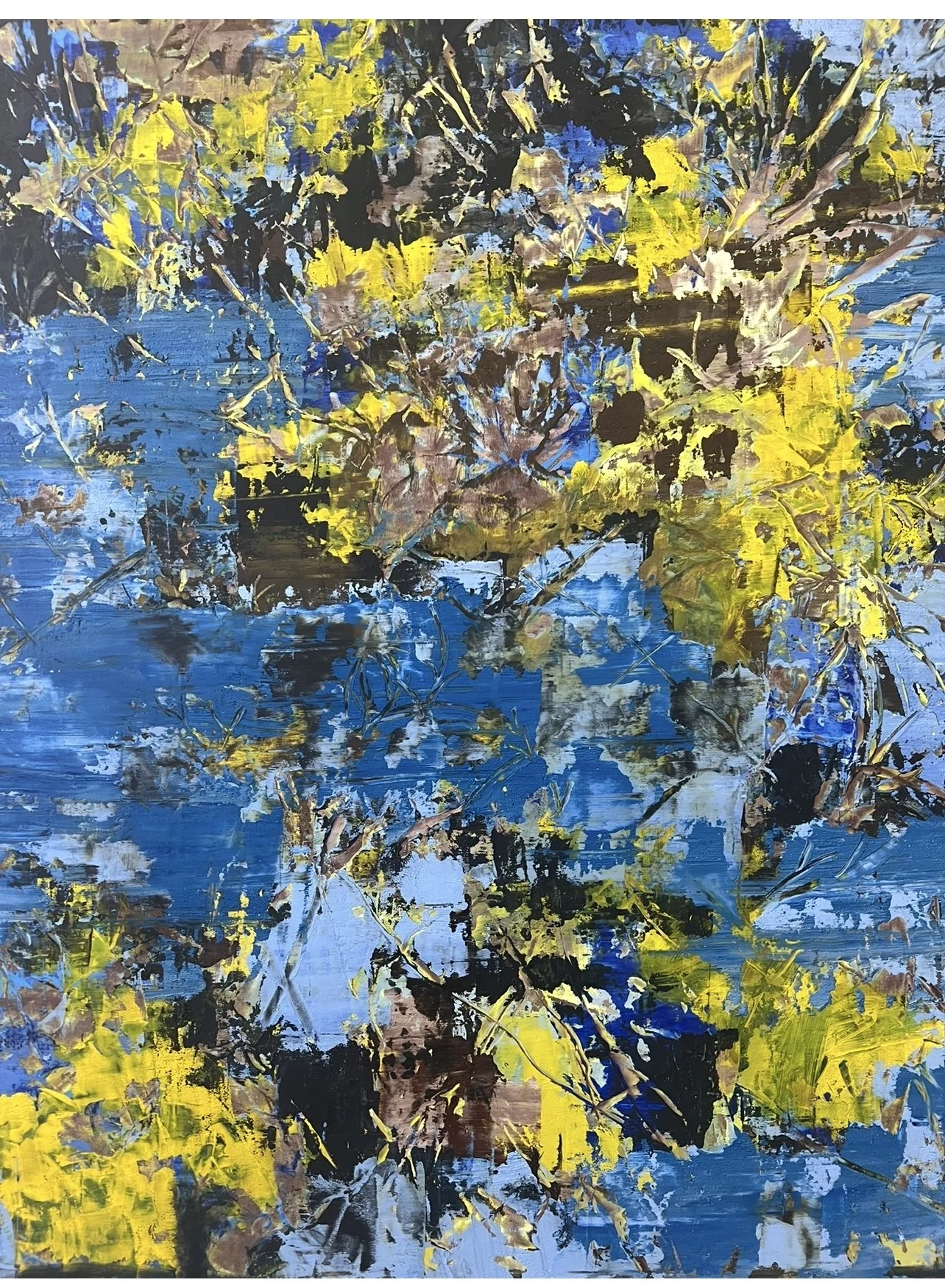 FionnaMadigan_2CascadeWattle_Sep2025.jpeg