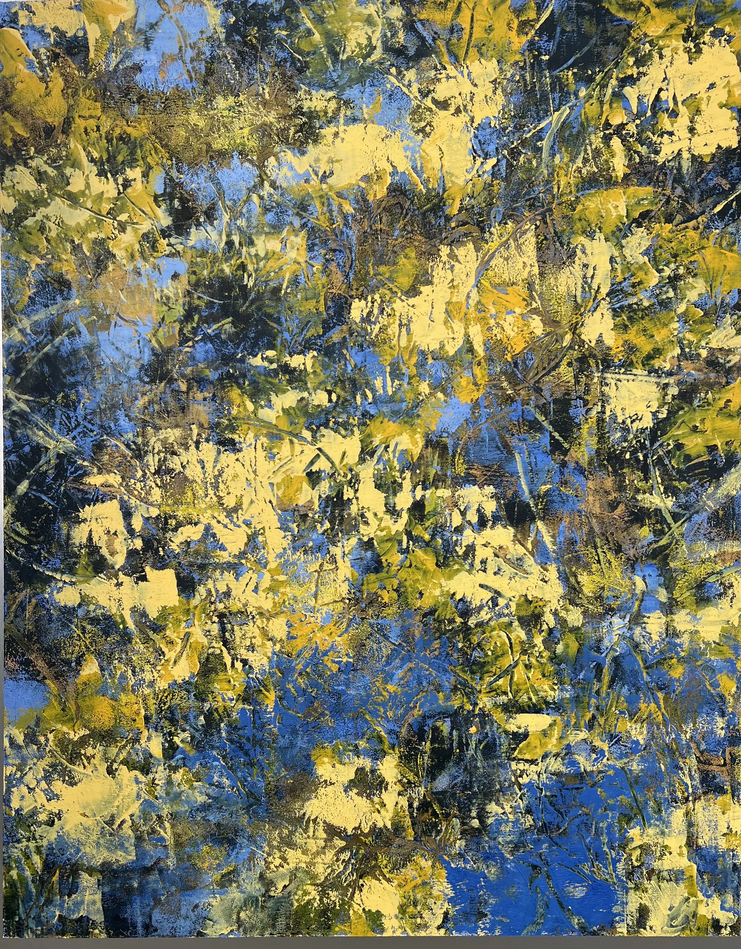 FionnaMadigan_3GossamerWattle_Sep2025.jpeg