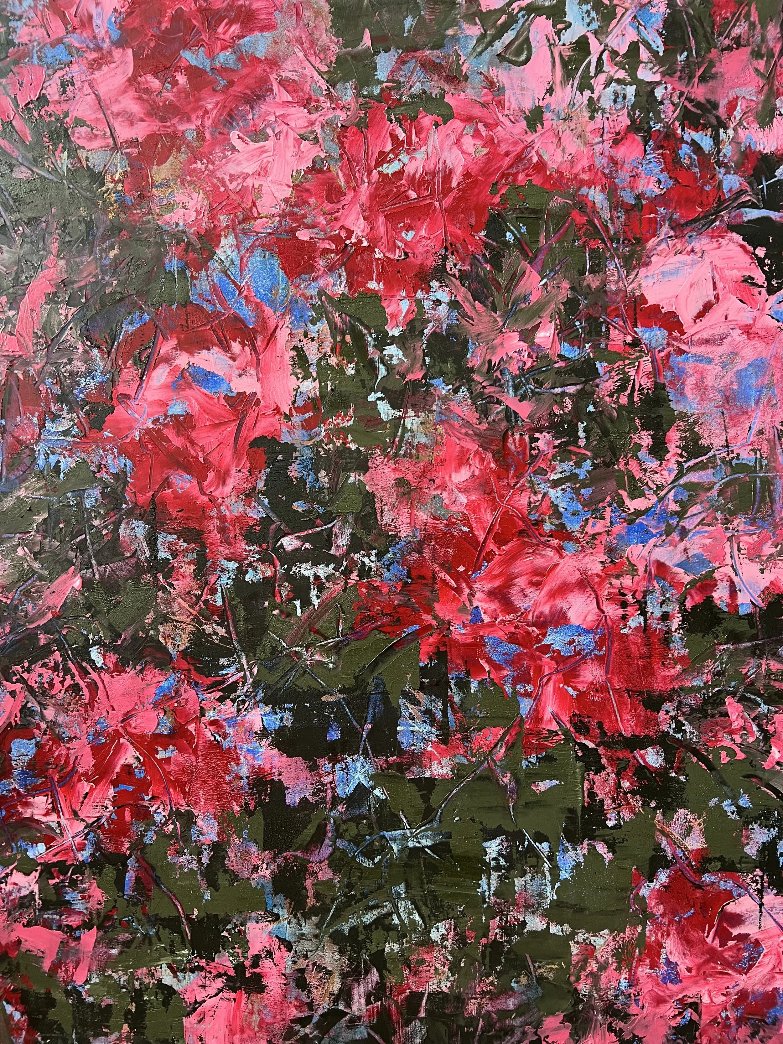 FionnaMadigan_5Bloom_Sep2025.jpeg