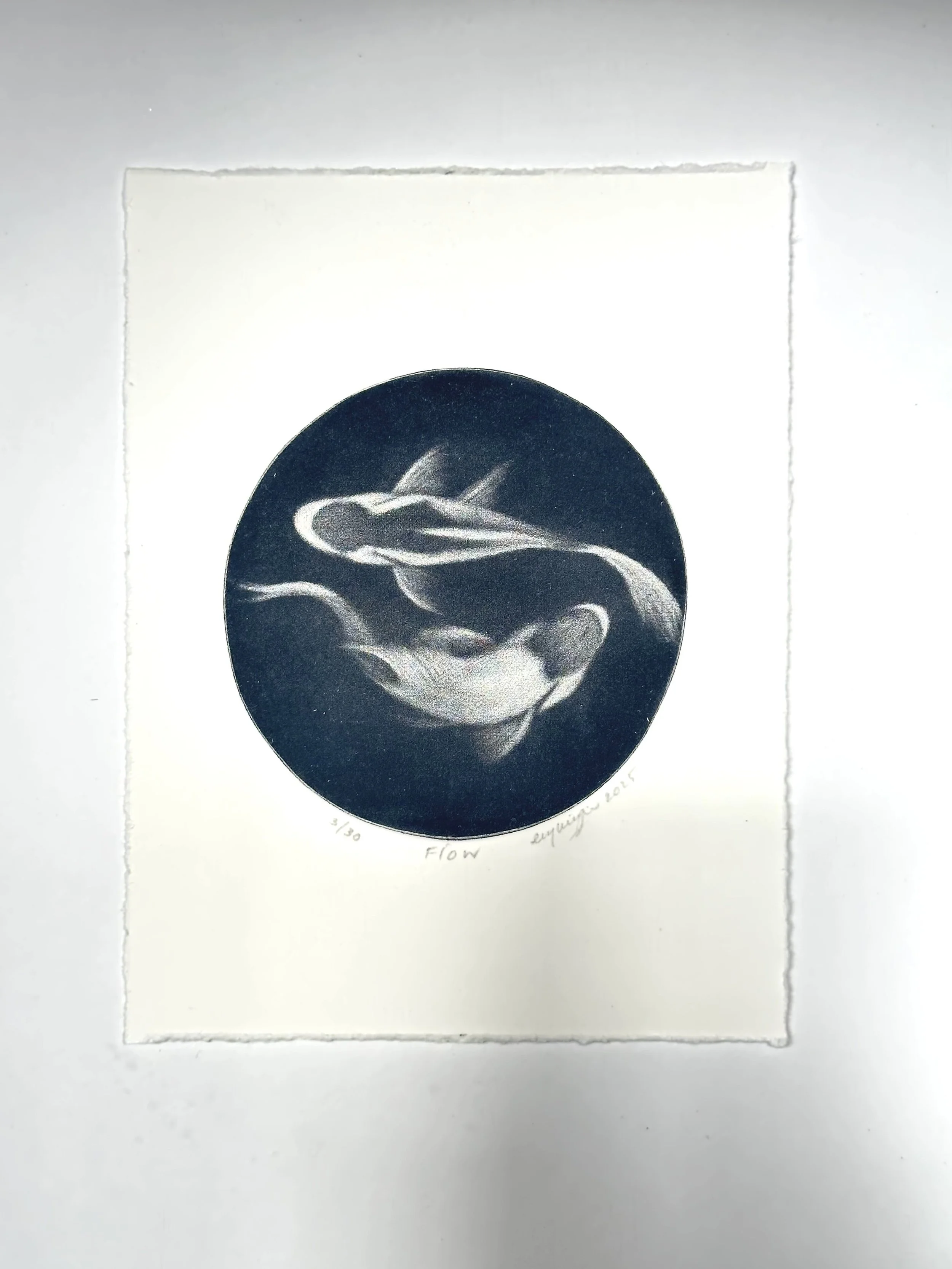 'Flow' by Cleo Wilkinson