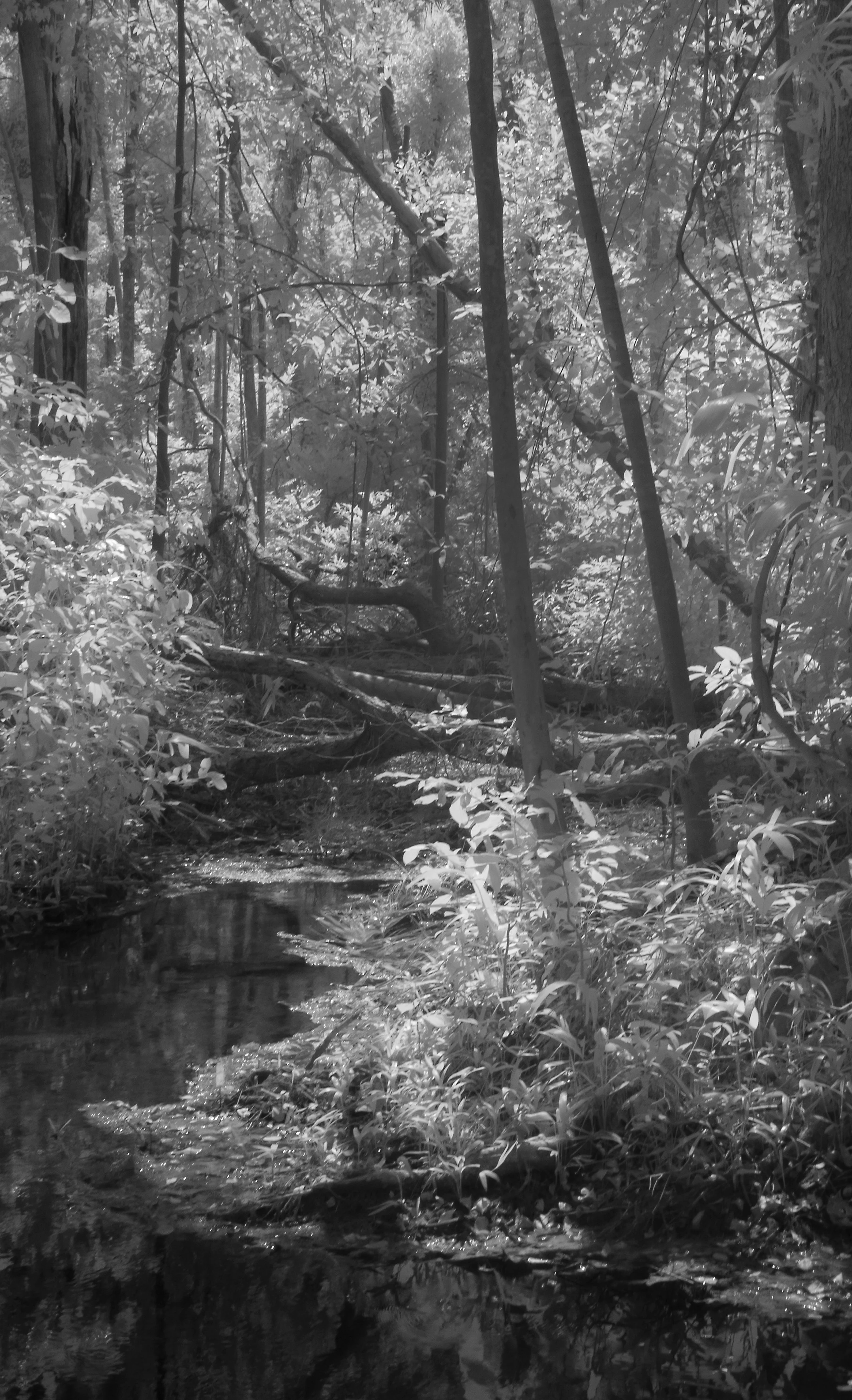 'Vista' by Danielle Edwards | PRIZE WINNER 2025