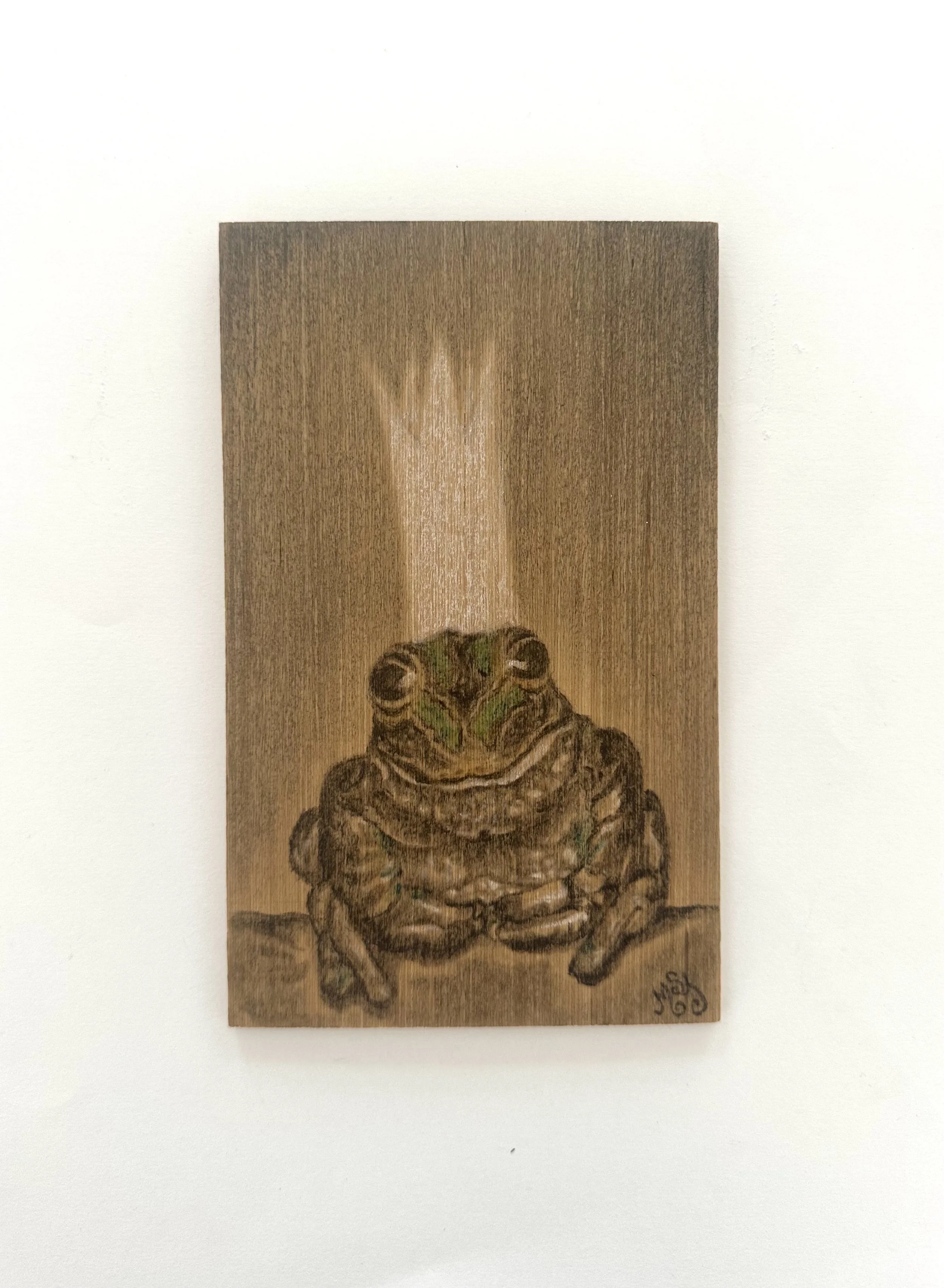 'The Frog Prince' by Melissa St John