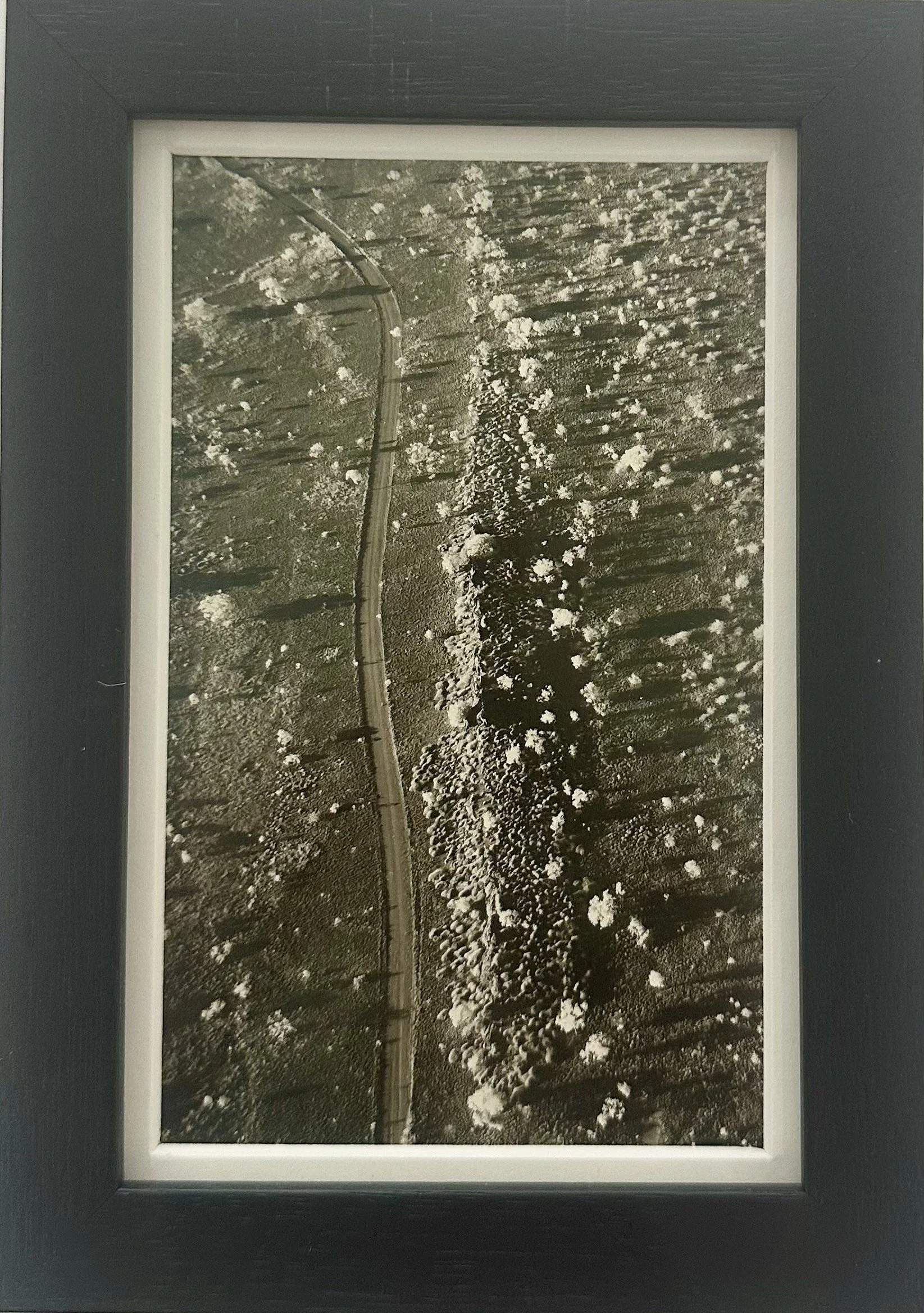 'Journey' by Danielle Edwards