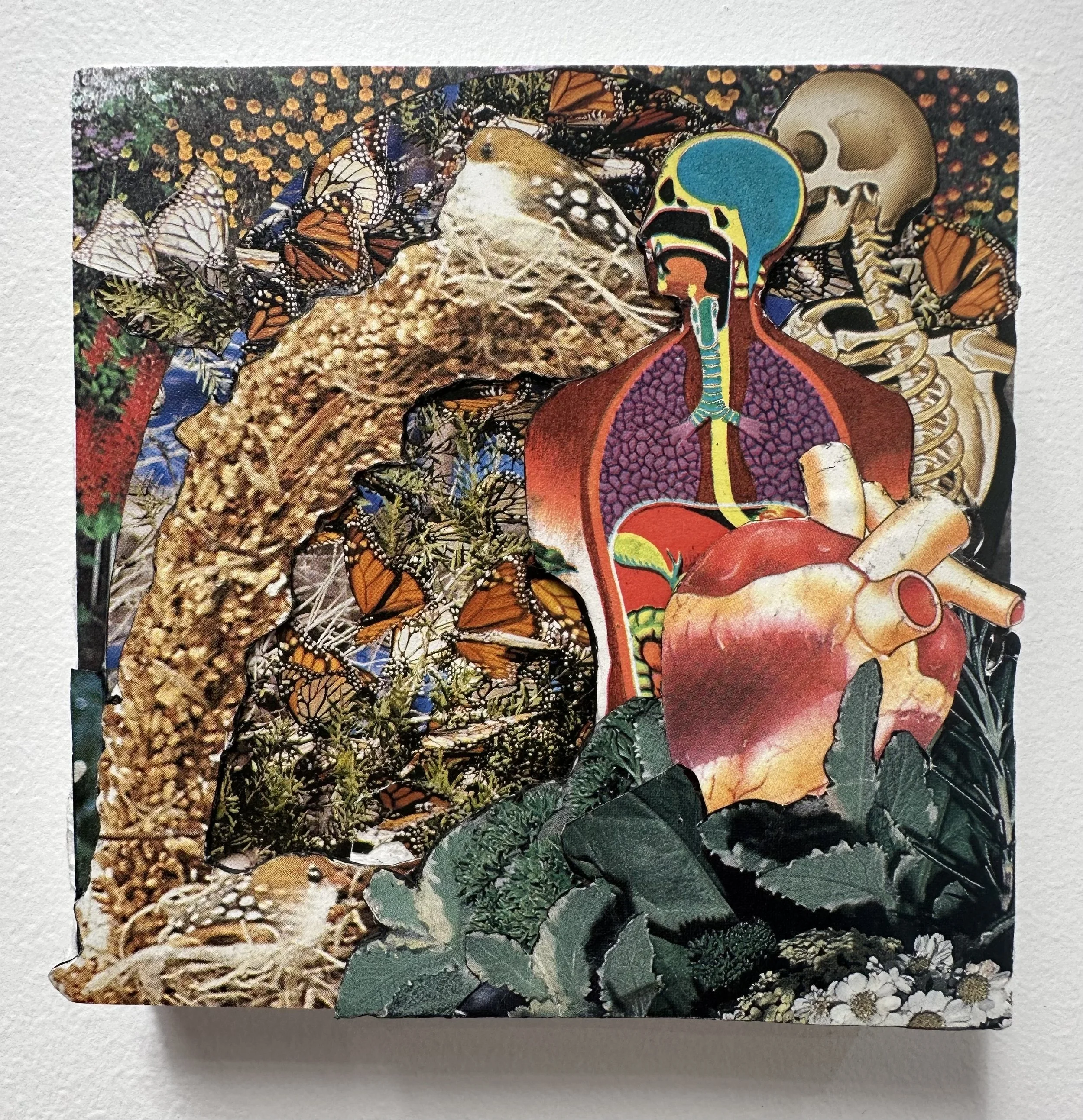 'I Still Worry About the Sun' by Adam Dorahy