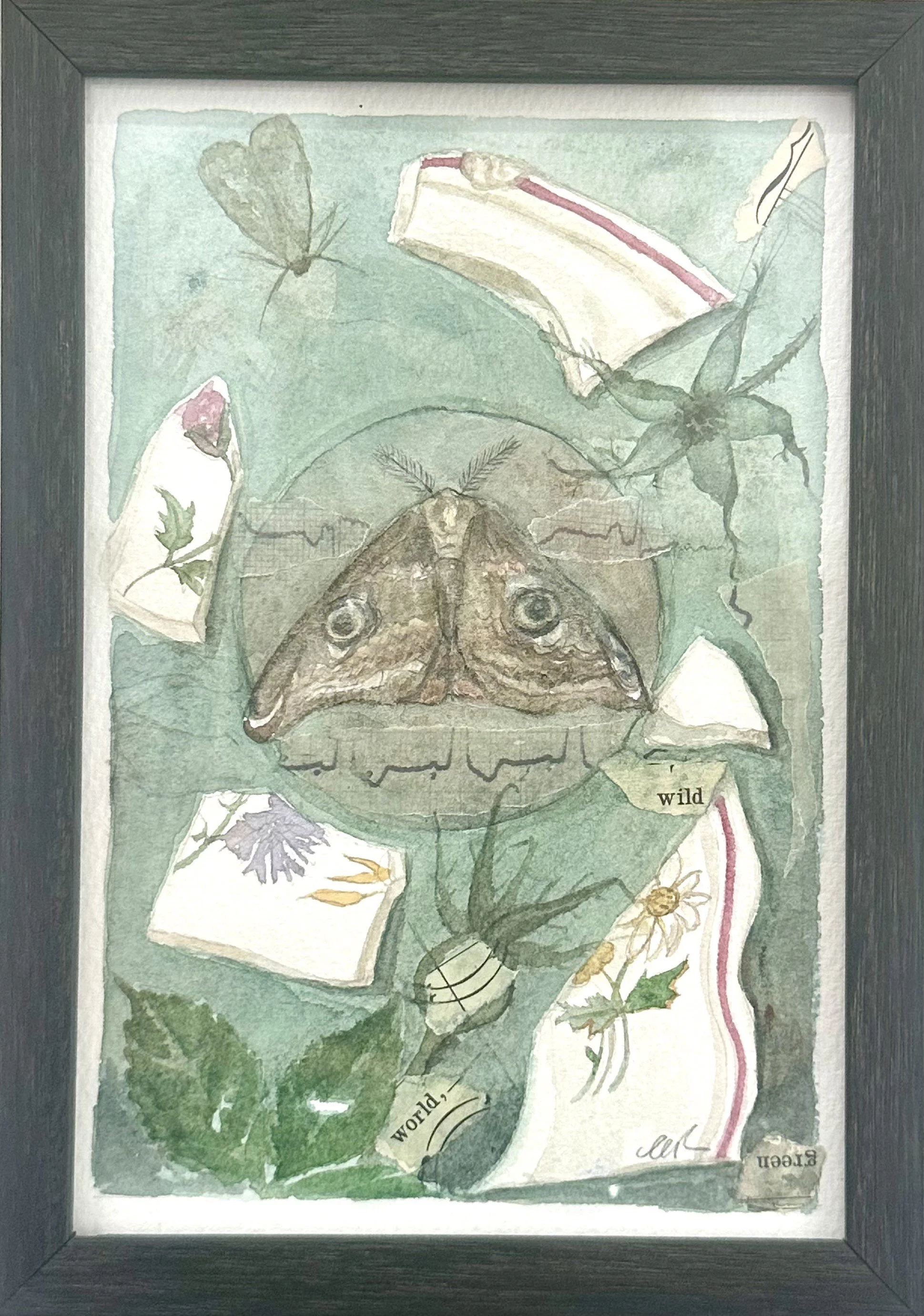 'Fragments Through Time II' by Carolyn Roberts