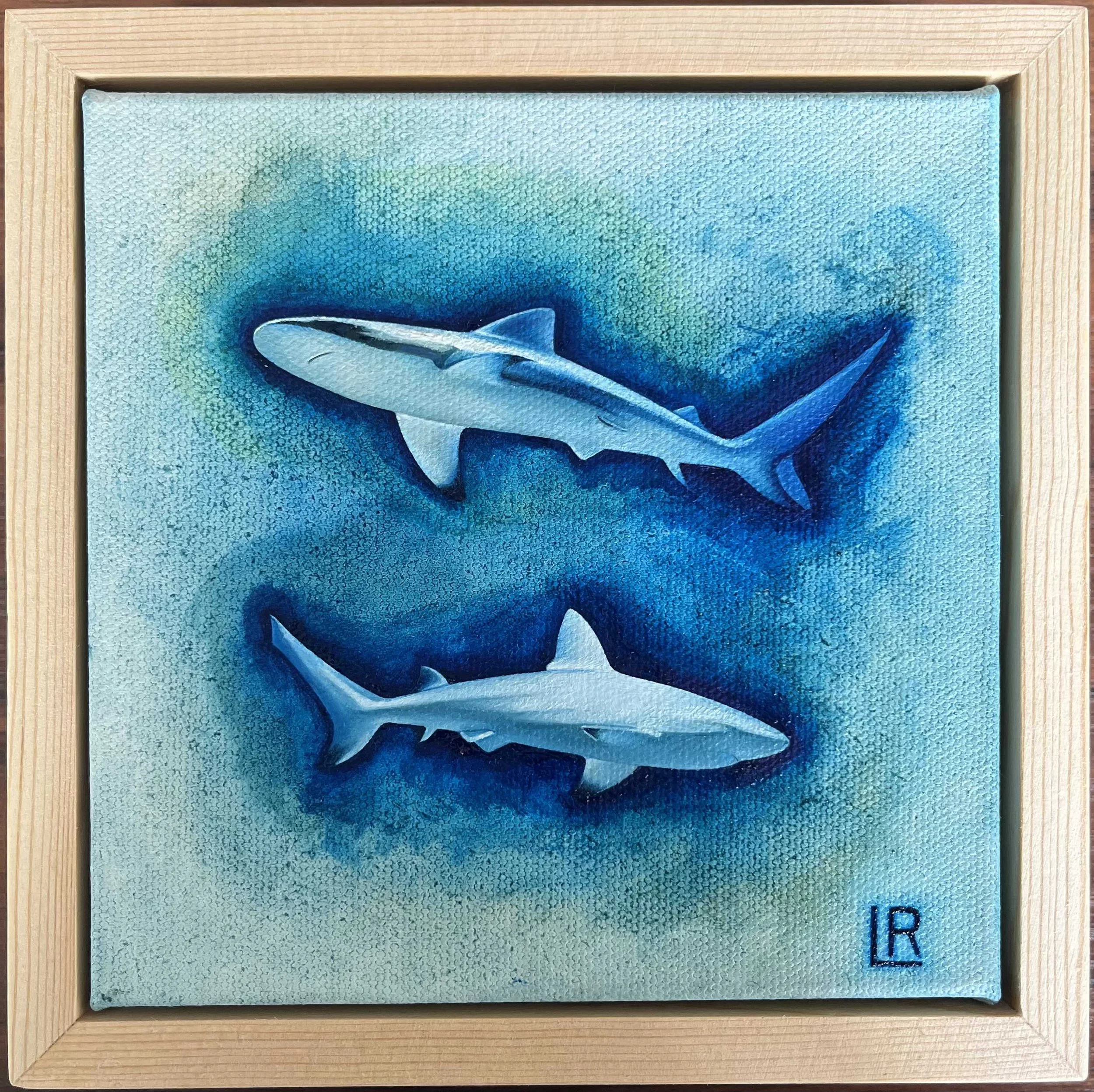 'Swimming with Sharks' by Lucia Roohizadegan