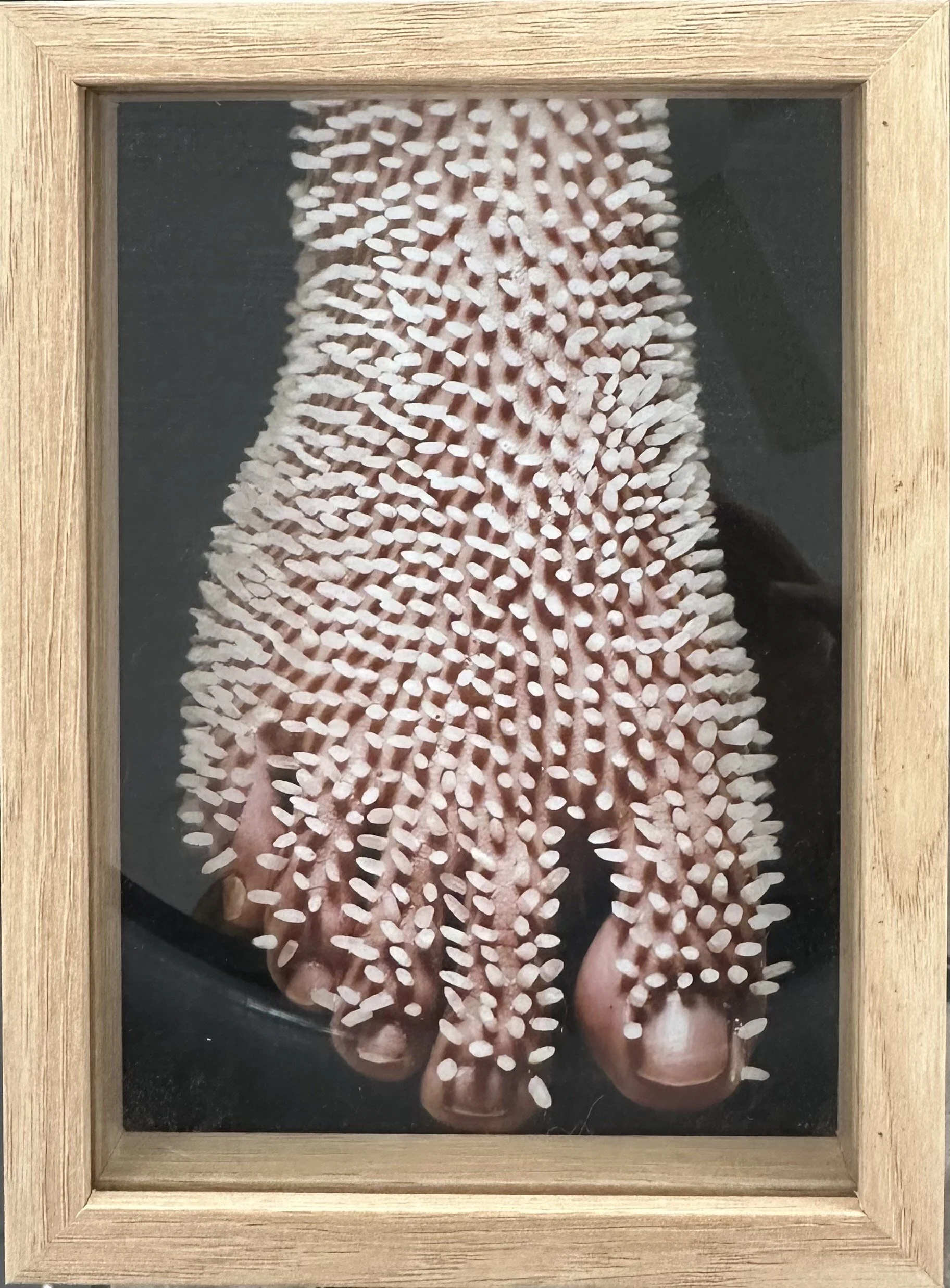 'Rice Foot' by Huiyi Xiao | SPONSORSHIP PRIZE WINNER 2025