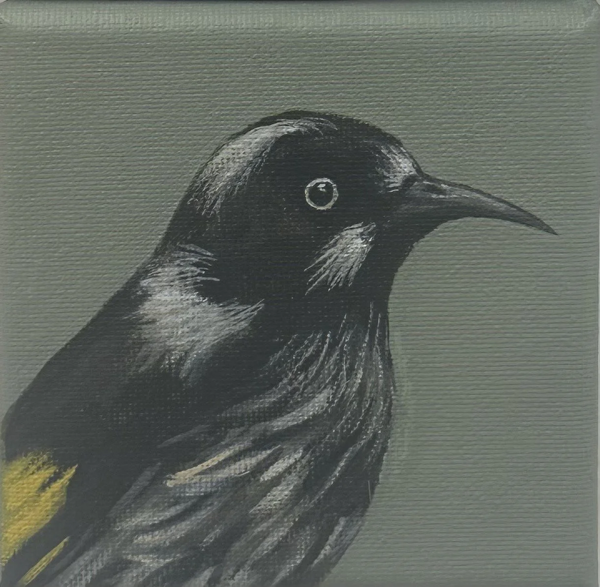 'Silvereye' by Julie Puchalski