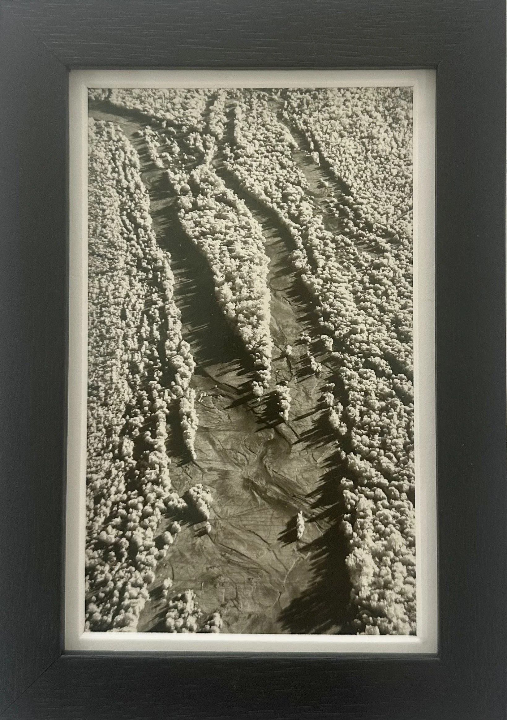 'The Kimberley' by Danielle Edwards