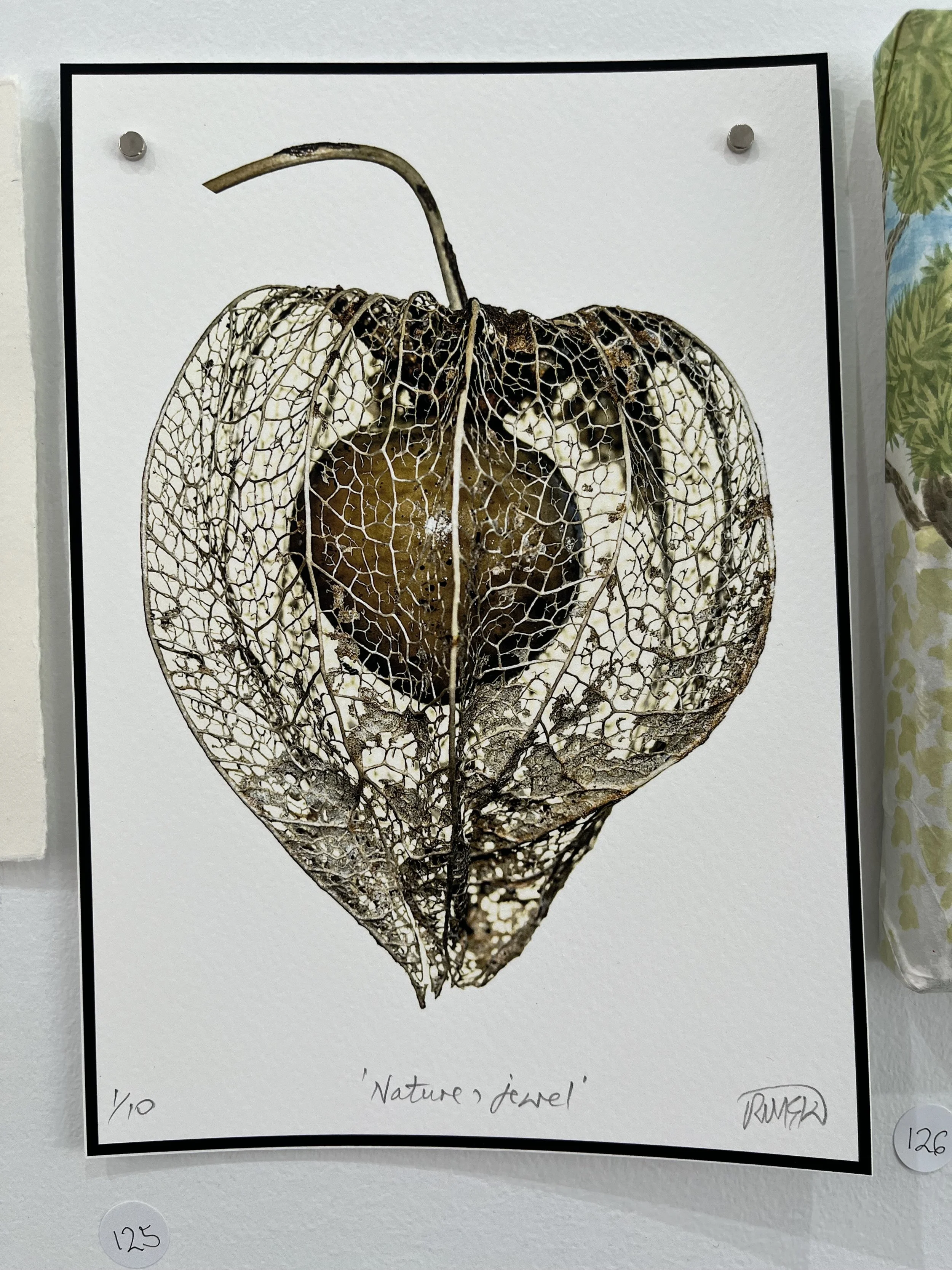 'Nature's Jewel' by Robert McKenna