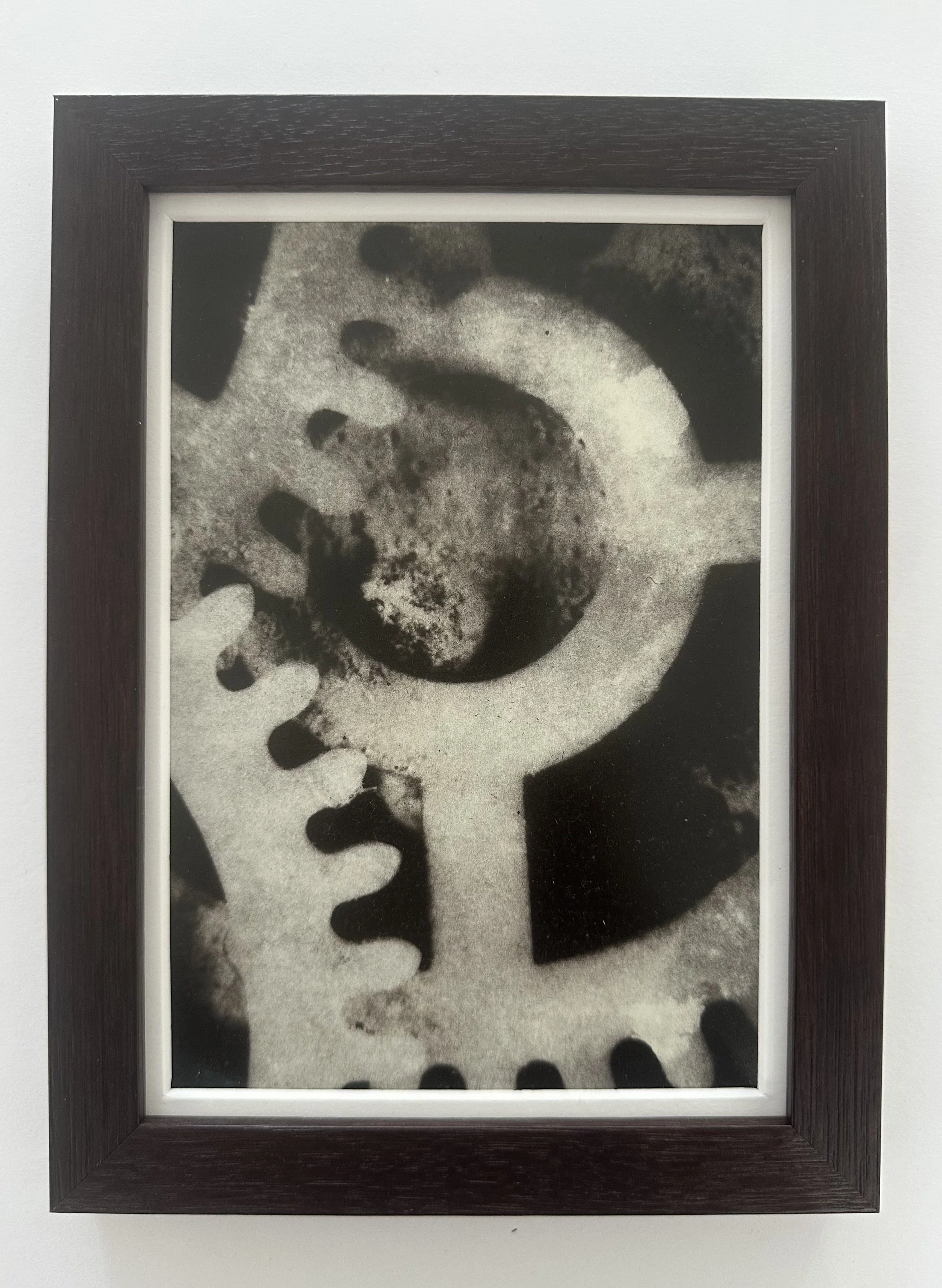 'Love Grove #1' by Ellie Young