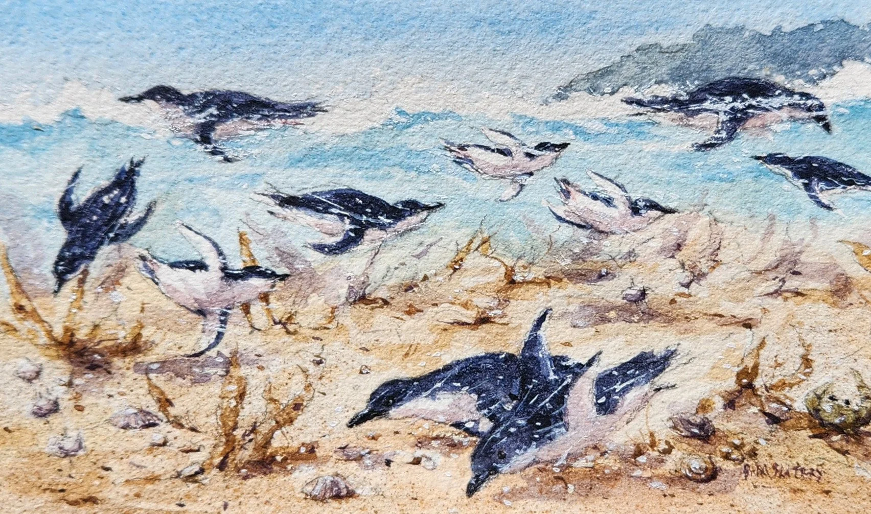 'Little Penguins in their Element' by Pam Slattery | PRIZE WINNER 2025