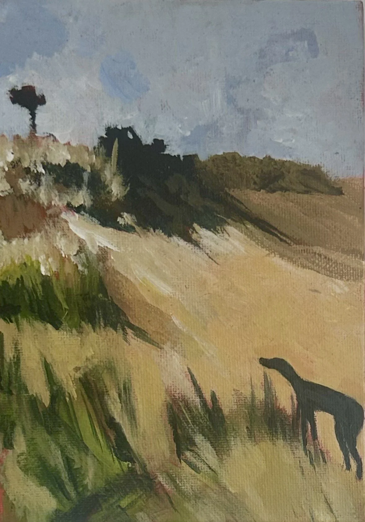 'Beneath The Dunes' by Rachel Knoester