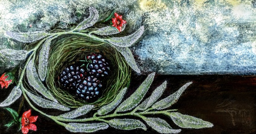 Blackberry Sage Shrub