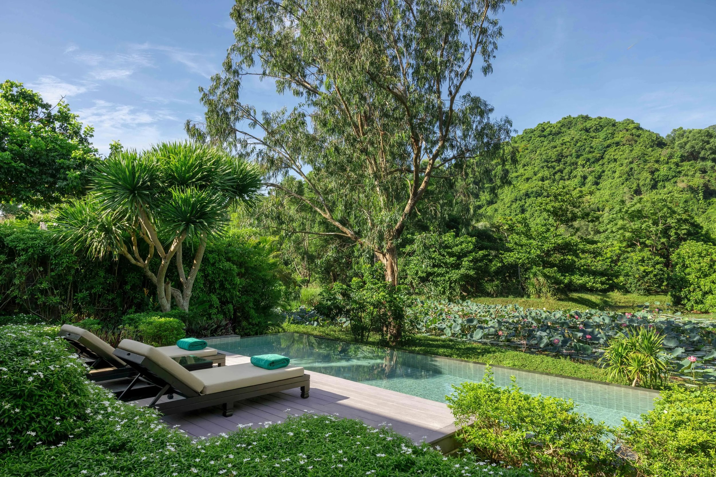 BT-LANGCO-%20Lagoon%20Pool%20Villa%20-%20Private%20Infinity%20Pool%202.jpeg