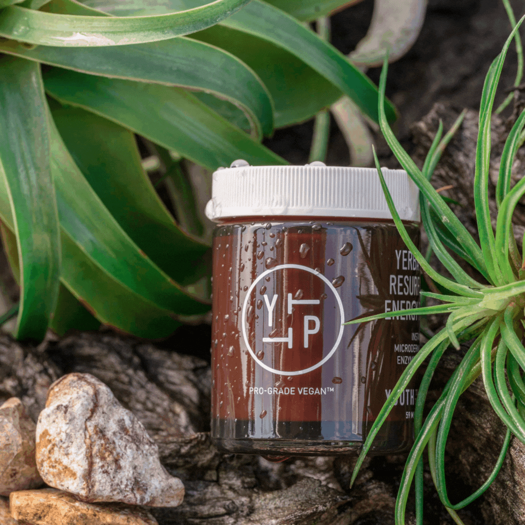 GIF video of a Youth to the People Skin Care Product. Future Cream and Yerba Mate Facial Cleanser in an earthy and natural environment with succulents and air plants. Very refreshing!