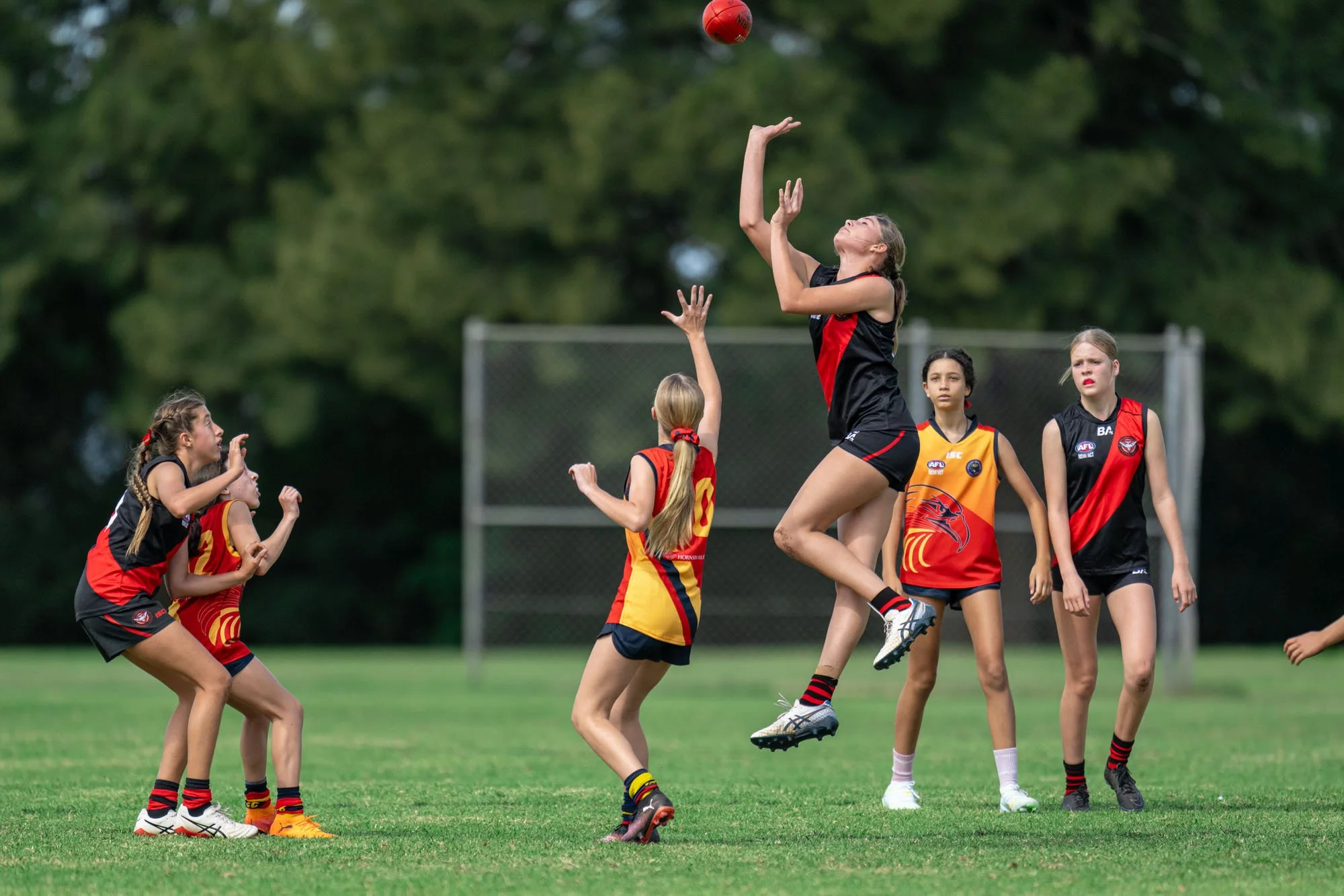 U13 GIRLS Hornsby Berowra Eagles VS Killarney Vale Bombers