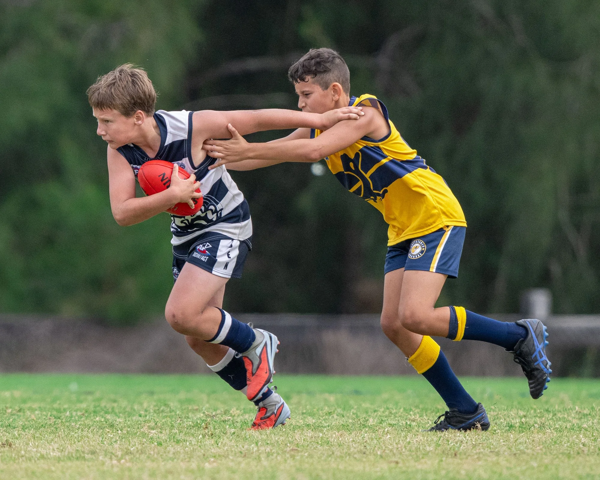 U12 - Camden Cats VS Greystanes Goannas
