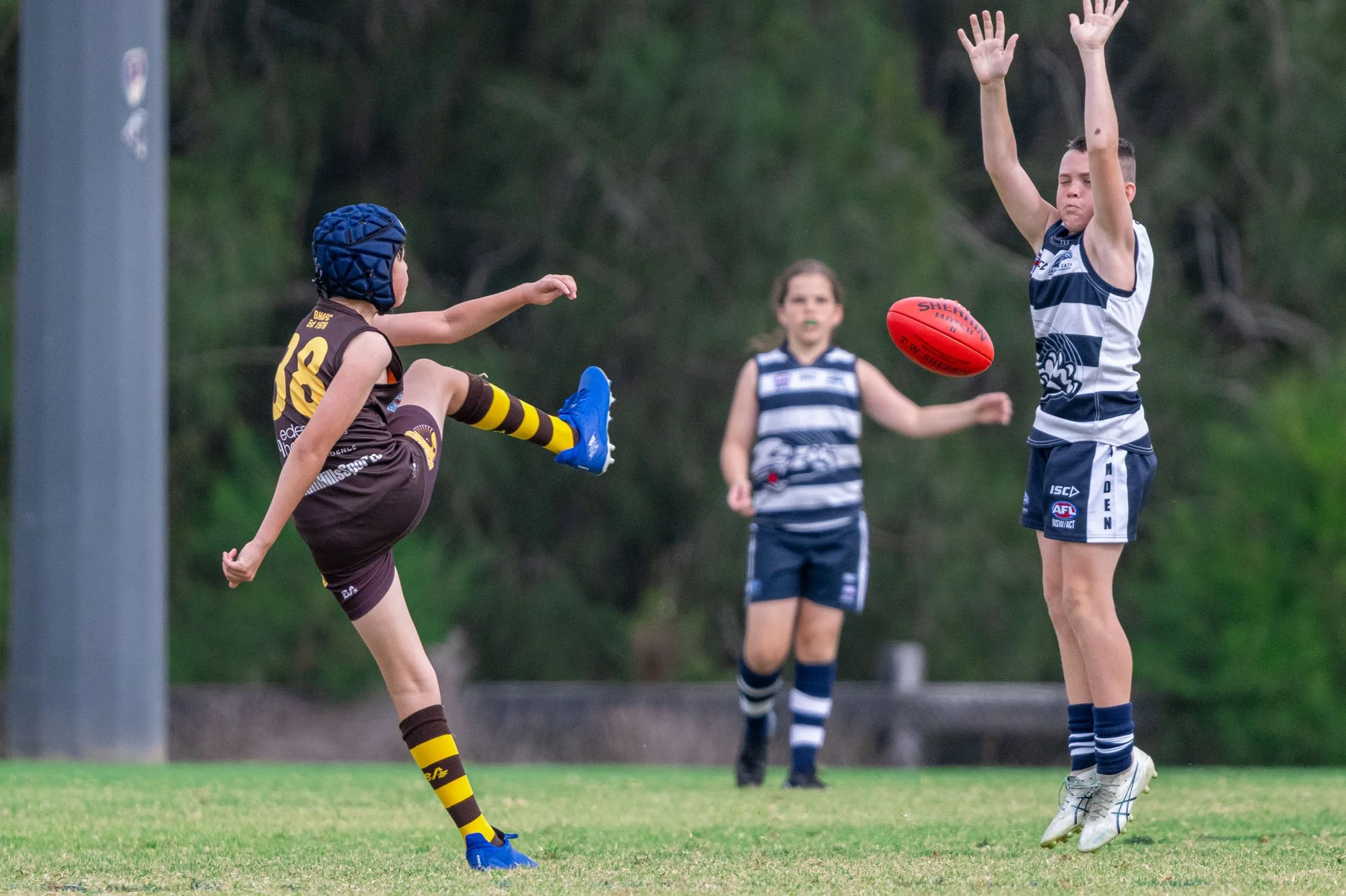 U12 - Camden Cats VS Baulkham Hills Hawks