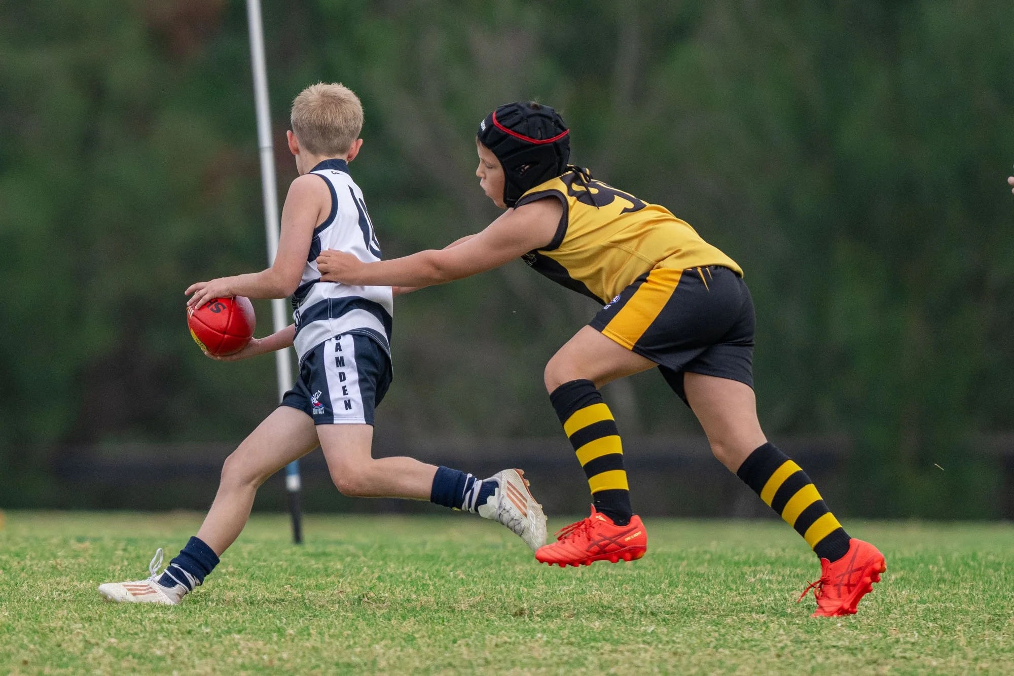 U10 - Camden Cats VS South West Tigers 