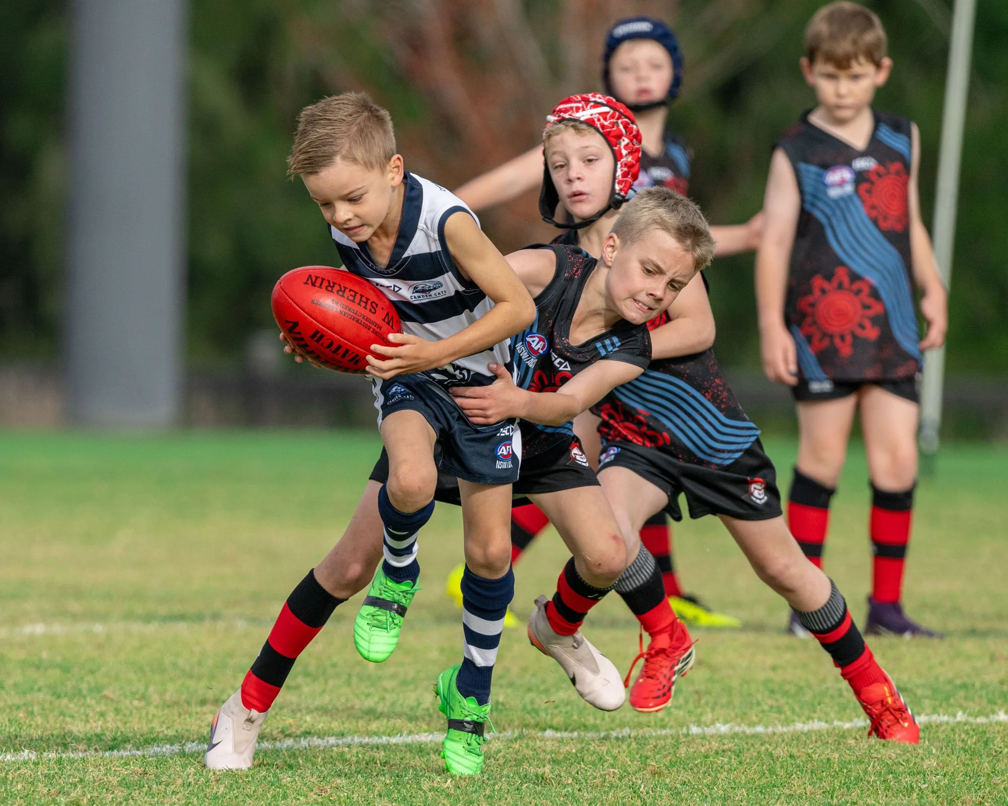 U9 - Camden Cats VS Wollondilly Knights