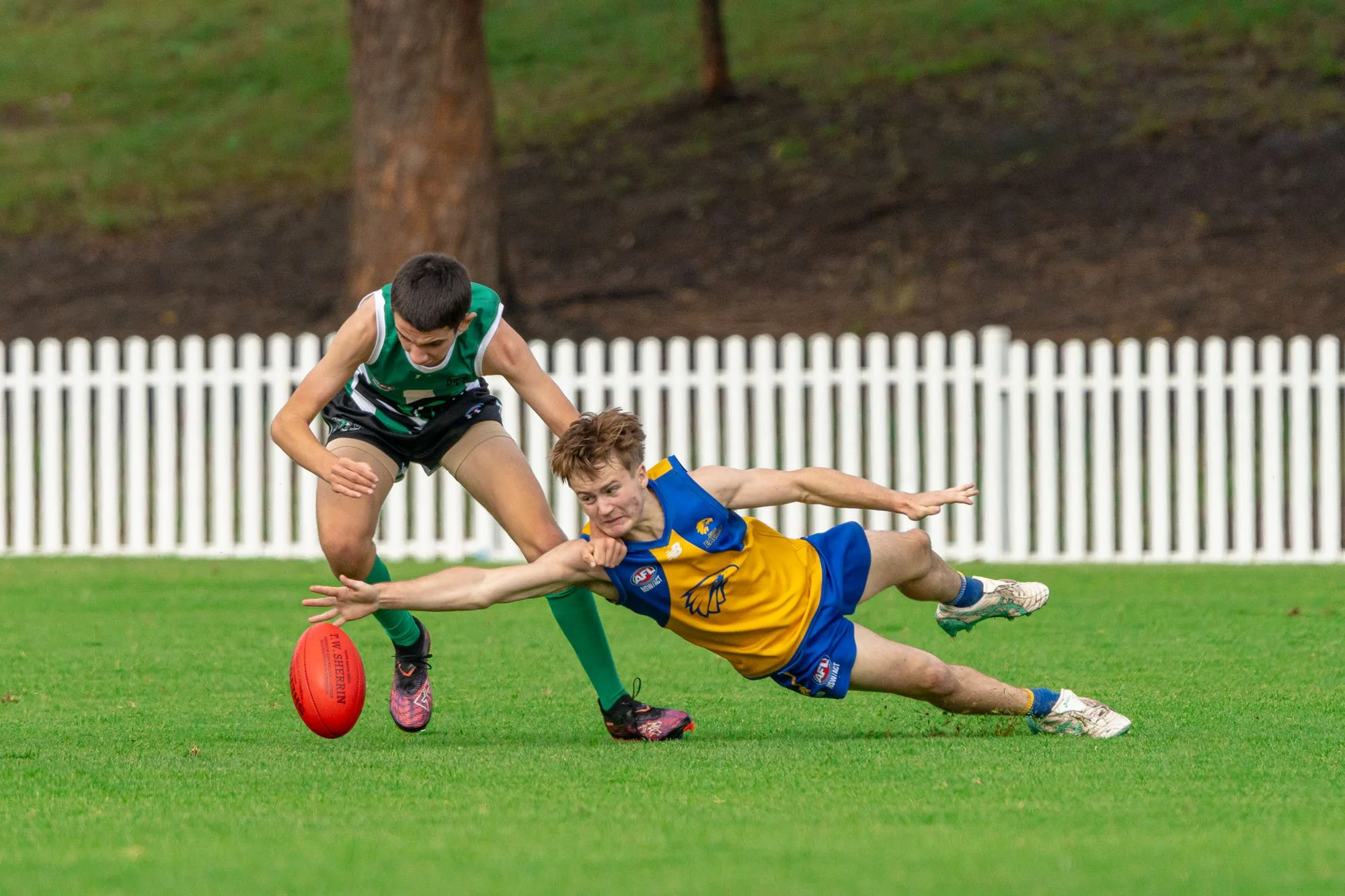 U17 DIV 3 Penshurst Panthers VS Hills Eagles
