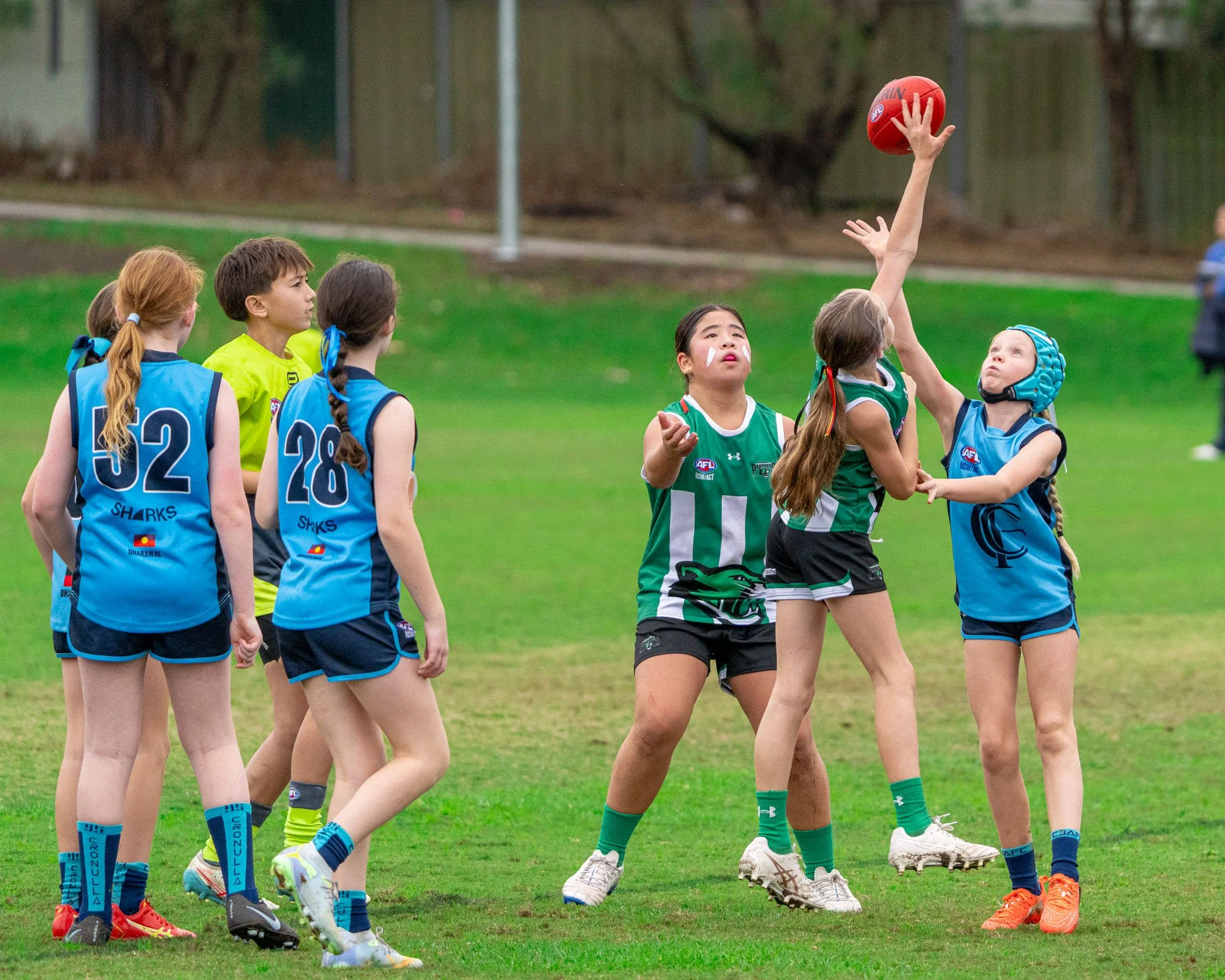 U11YG Penshurst Panthers VS Cronulla Sharks