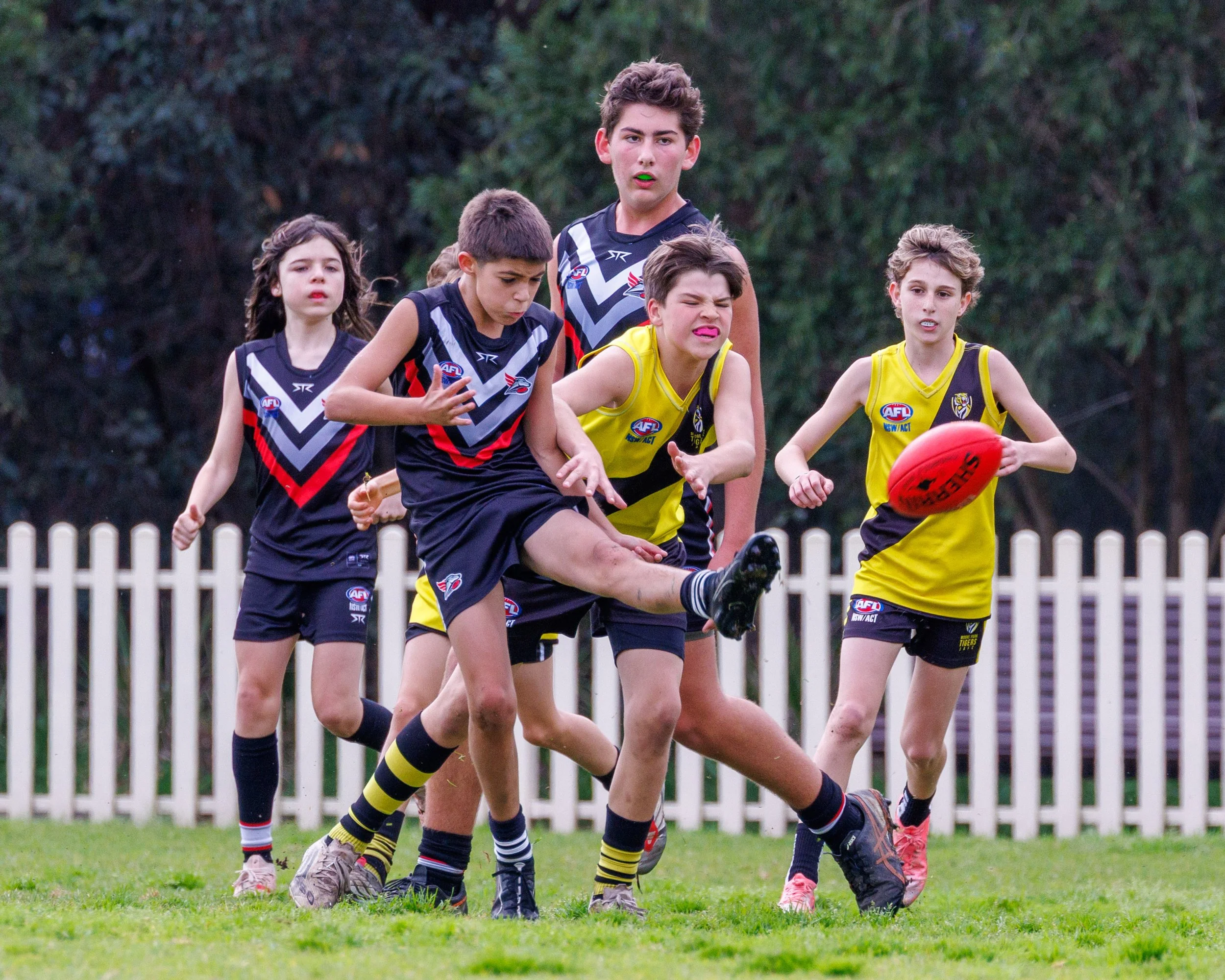 SEMI FINAL U13 Div 3 Bloodhounds VS Moore Park Tigers