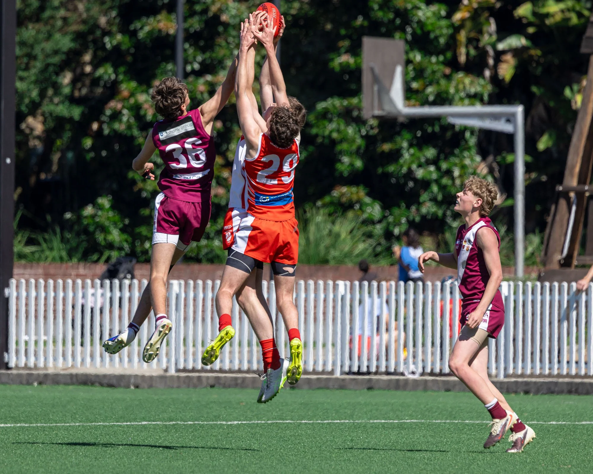 PRELIM FINAL U15 DIV 1 North Shore Swans VS Northern Beaches Wolves
