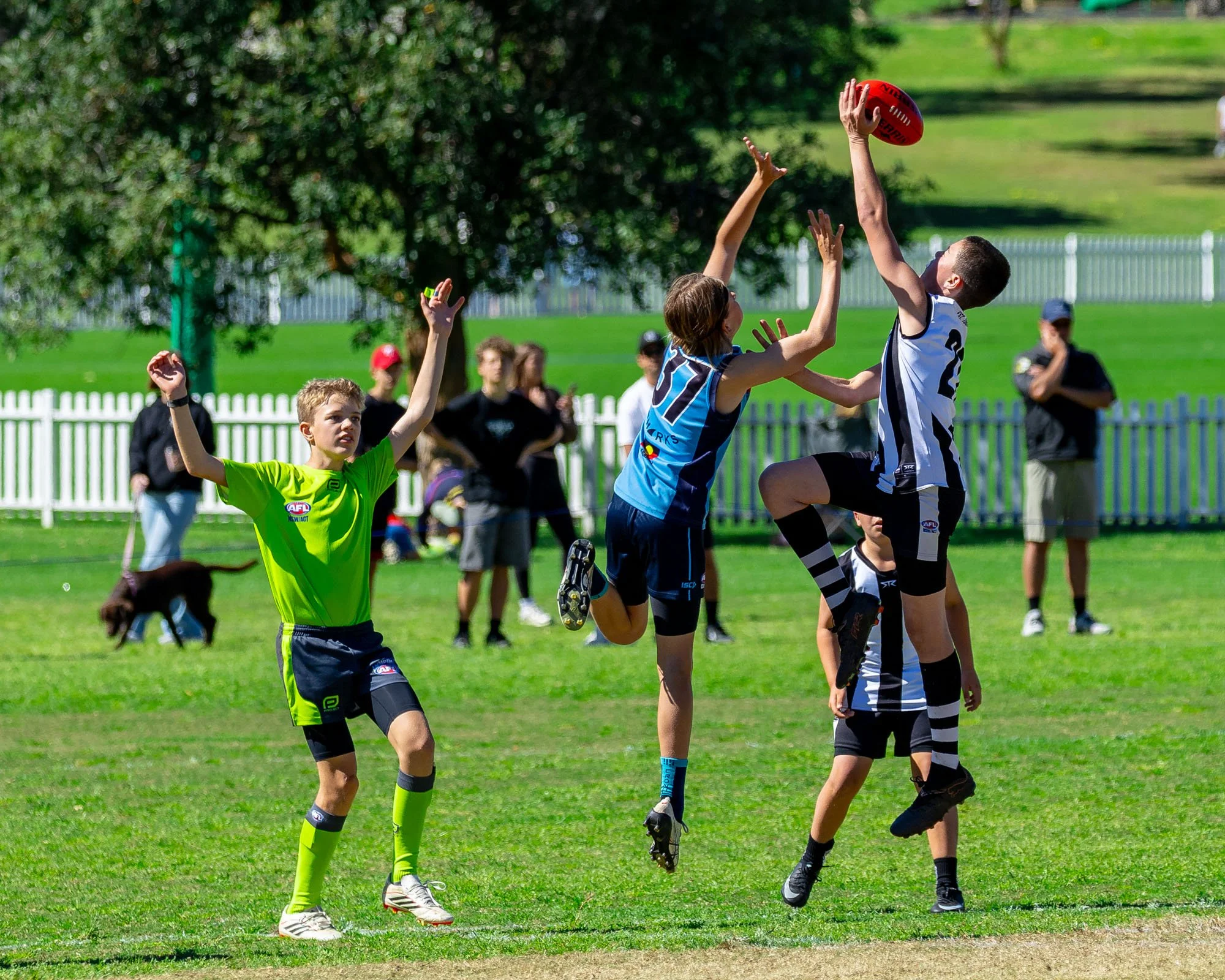 GRAND FINAL U12 DIV 1 Cronulla Sharks VS Glebe Greyhounds