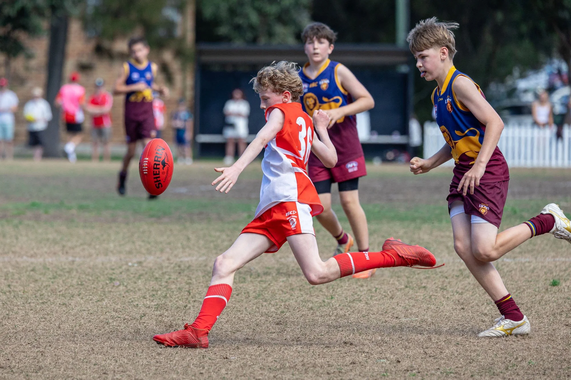 GRAND FINAL U13 DIV 3 North Shore Swans VS Forest Lions