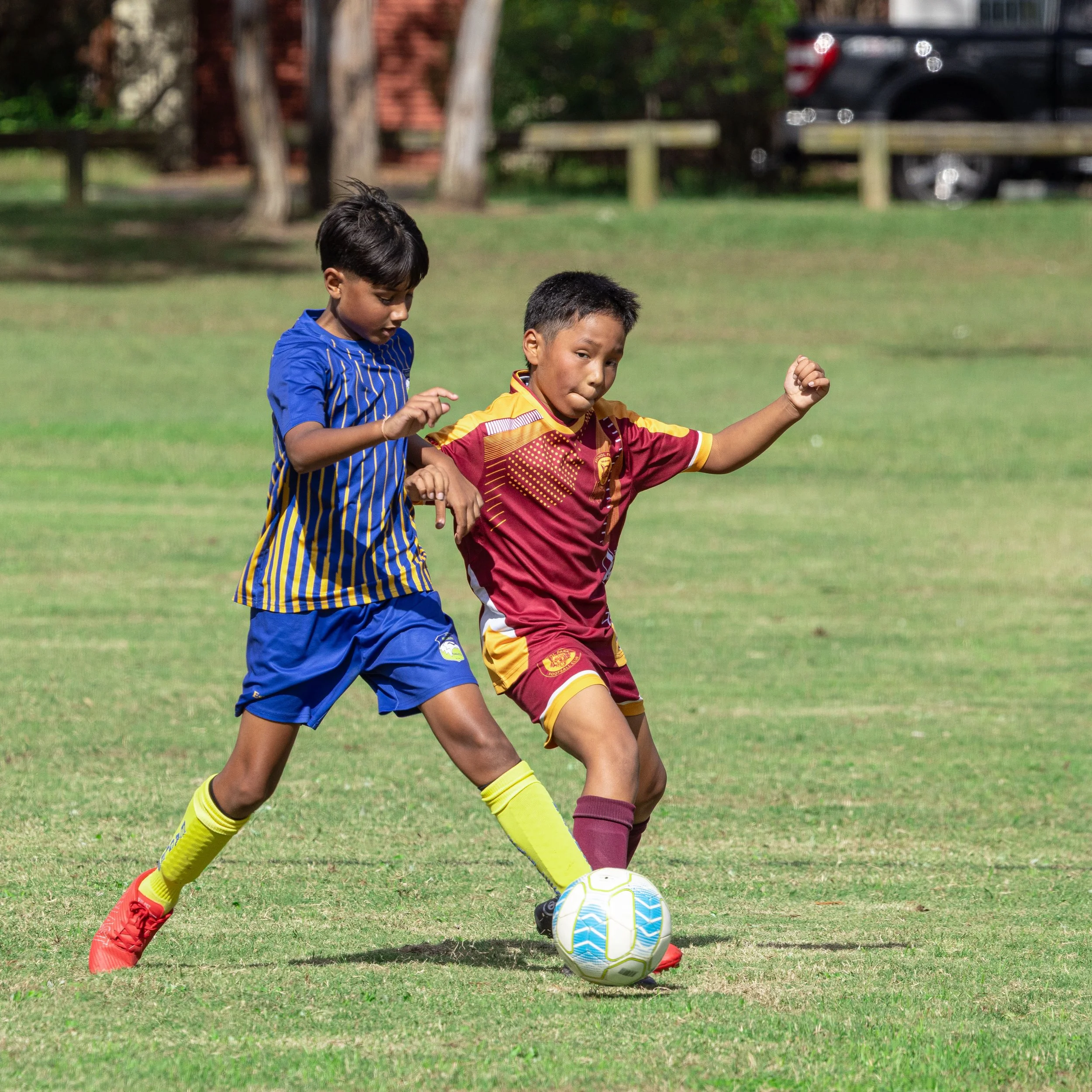 PTC_030525_JKP21783.jpg