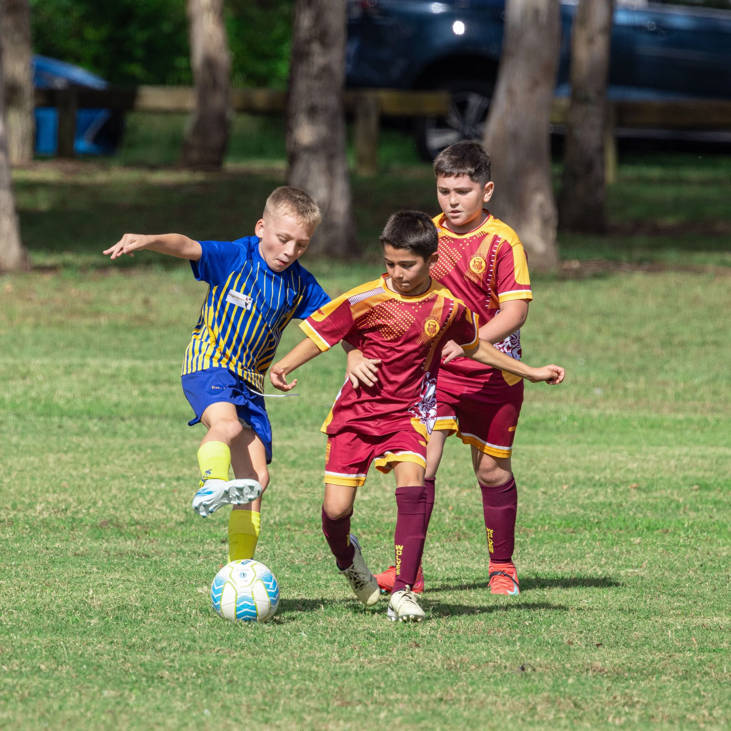 PTC_030525_JKP21575.jpg