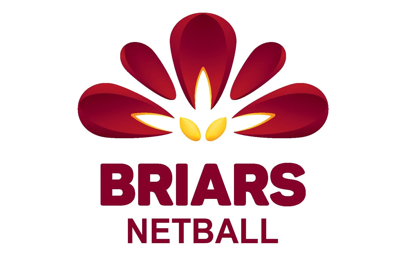briars junior logo_3x2.jpg