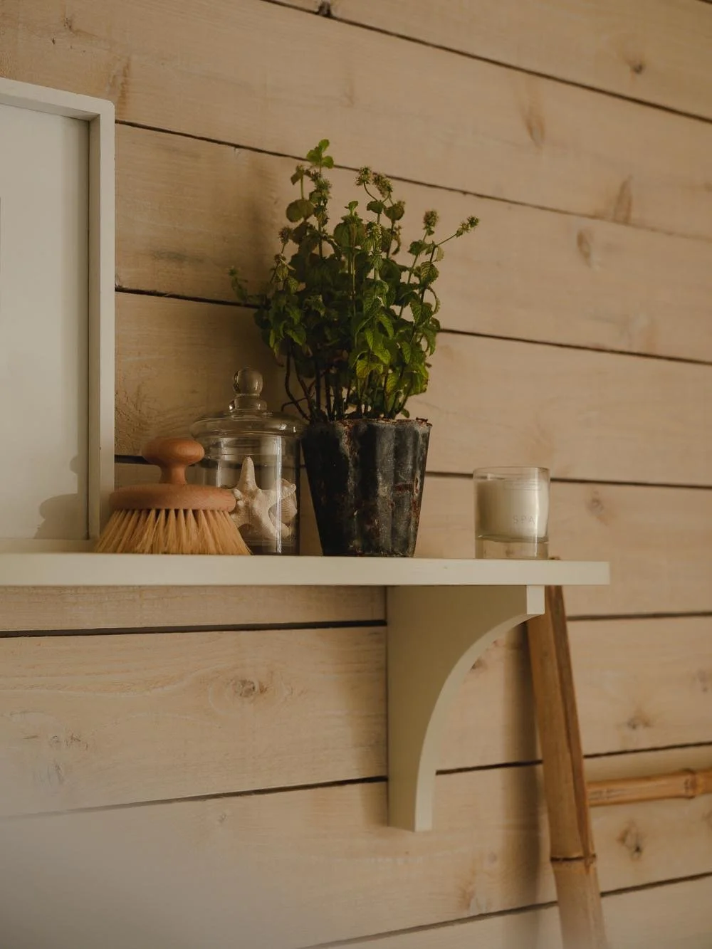 Decorative shelf with a potted plant, a candle, a jar with starfish, a wooden brush, and a framed picture, against a wooden wall.