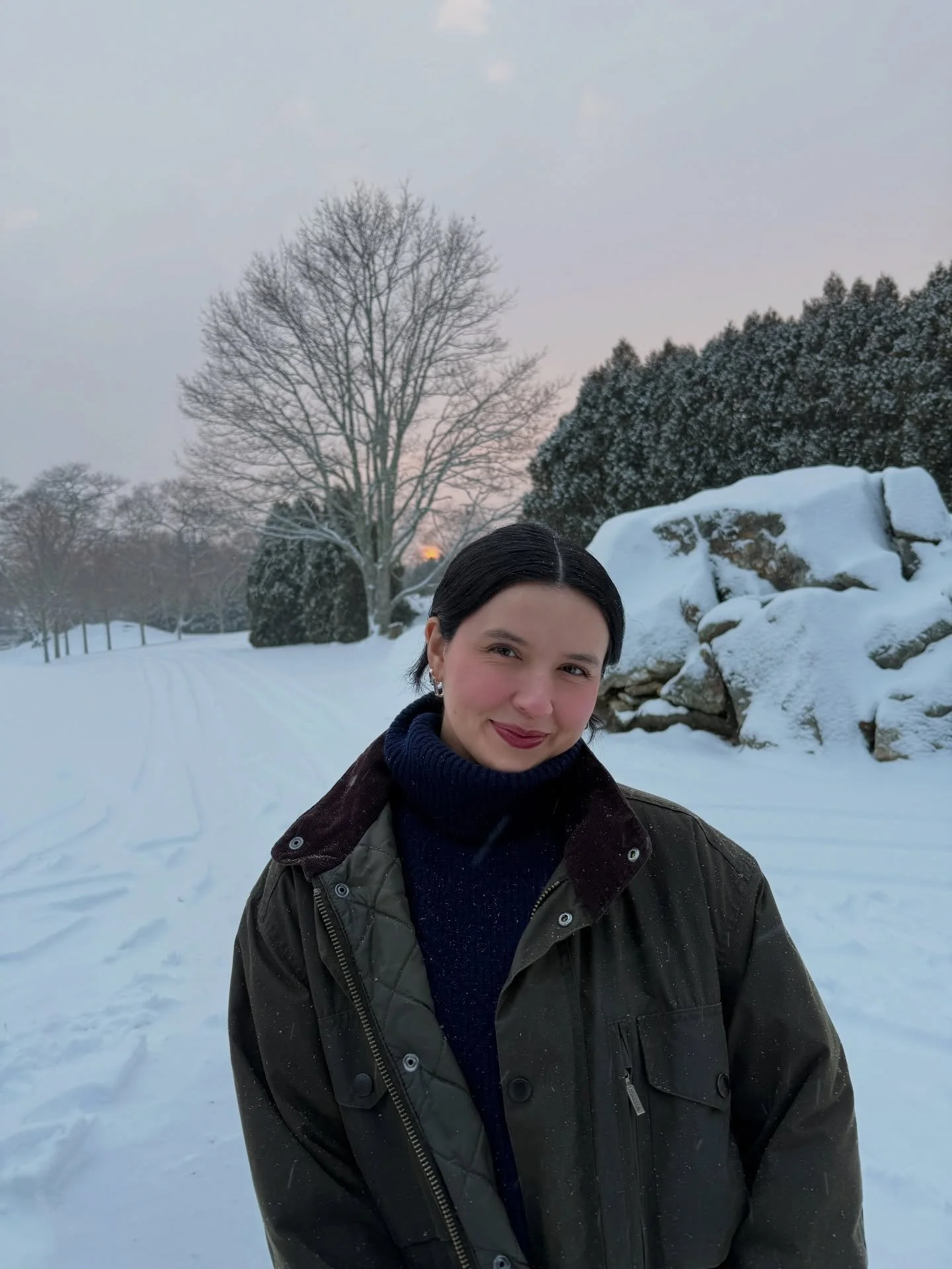 ❄️ ❄️ ❄️