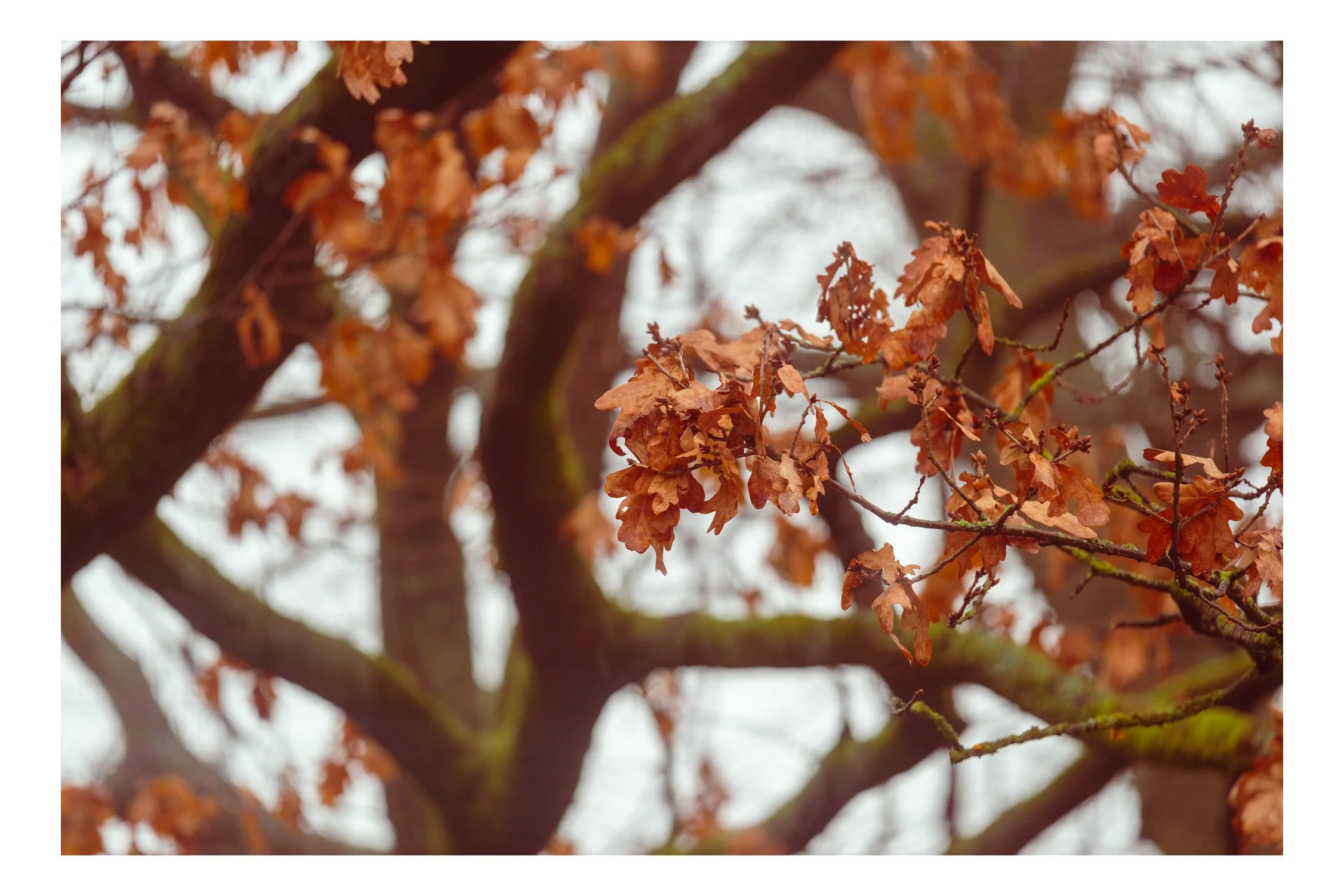 IMG_0203.jpeg