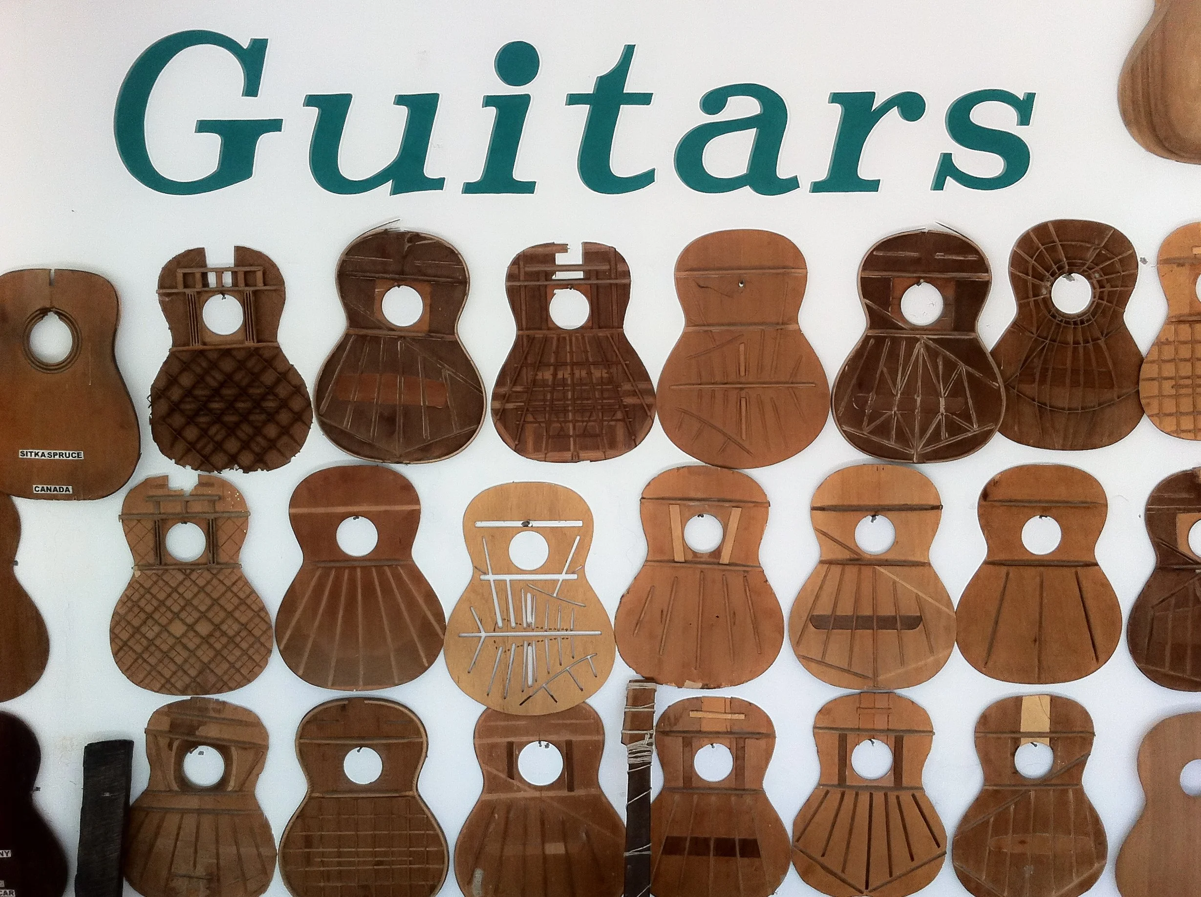 Display of various guitar backs and sides mounted on a wall with a sign reading 'Guitars' at the top.
