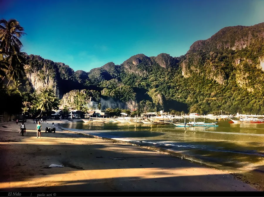 A scenic tropical beach with palm trees and boats anchored in the water, surrounded by lush green mountains under a blue sky.