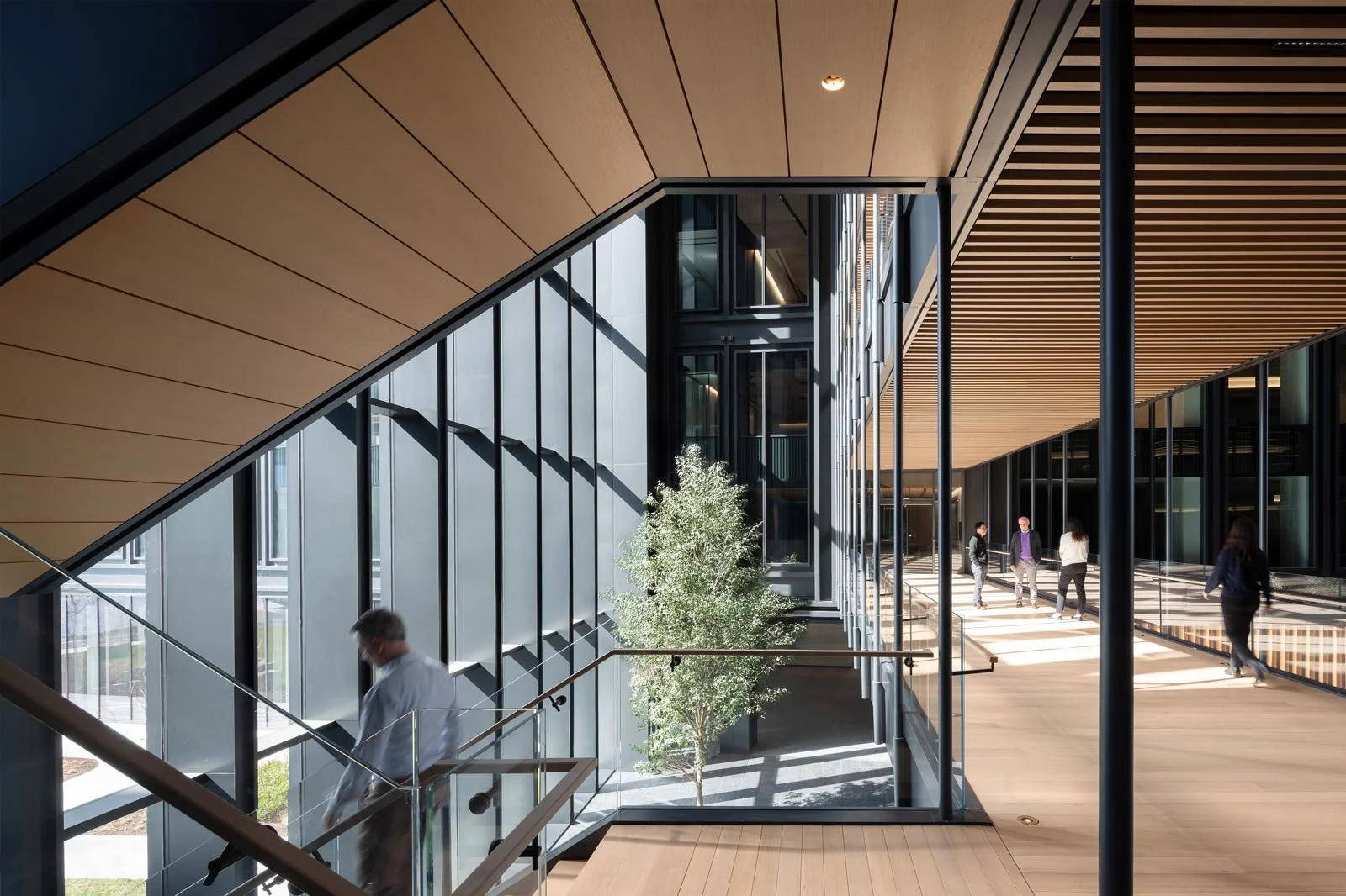 t rowe price hq, t rowe baltimore, t rowe price lobby, t rowe price kpf, kpf baltimore, kpf t rowe, t rowe interior